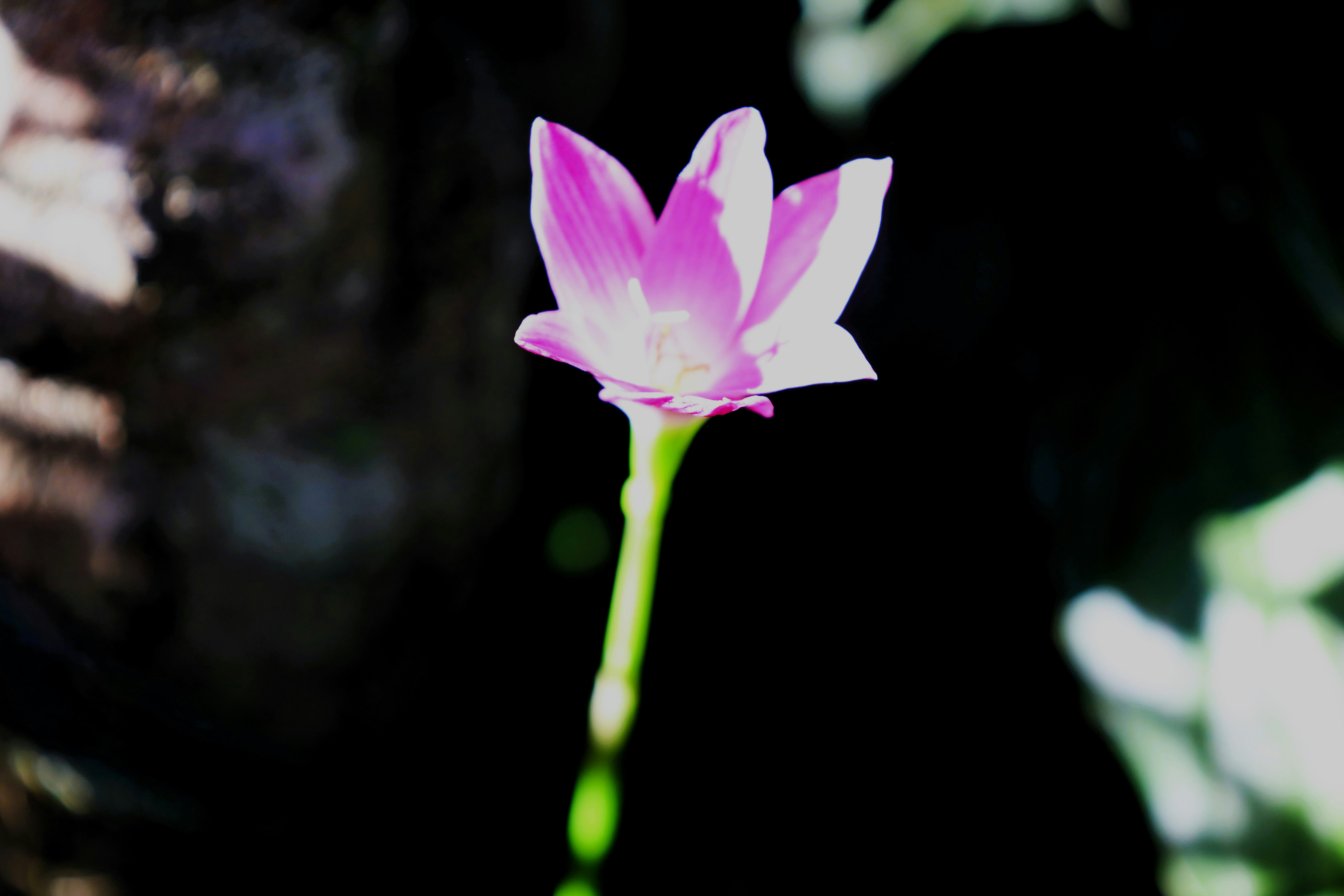 Photo by jaimegusmao