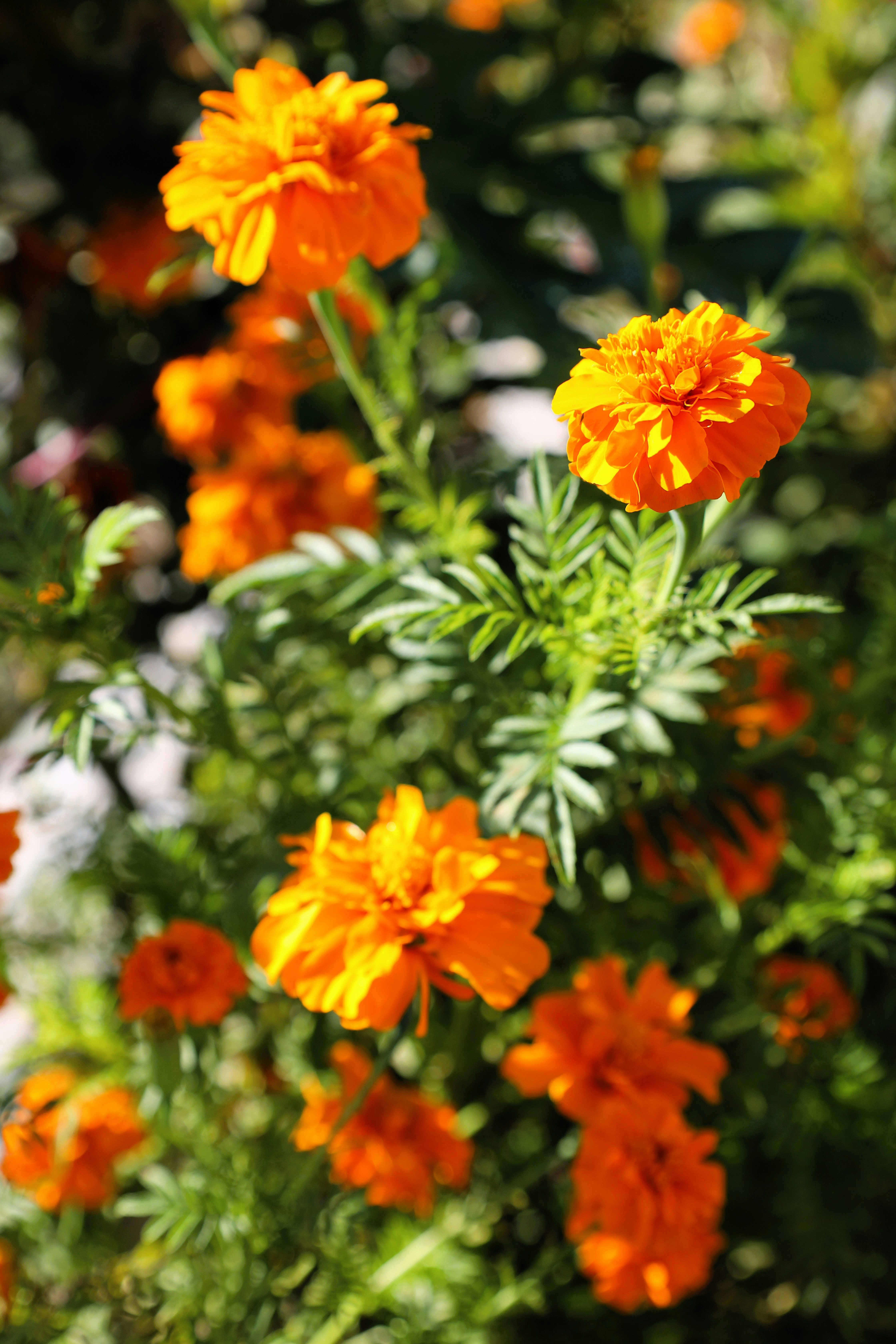 Photo by jaimegusmao