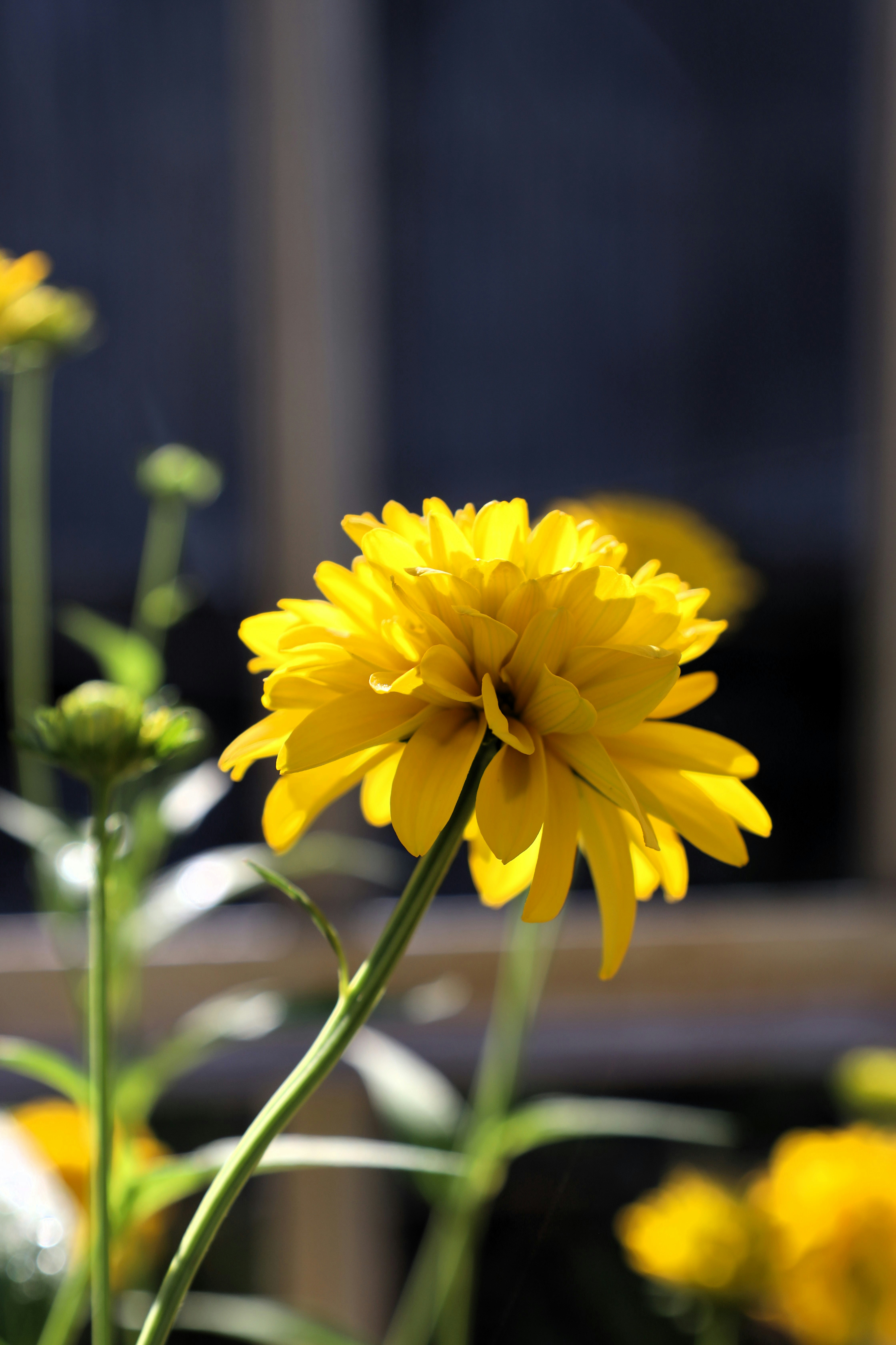 Photo by jaimegusmao