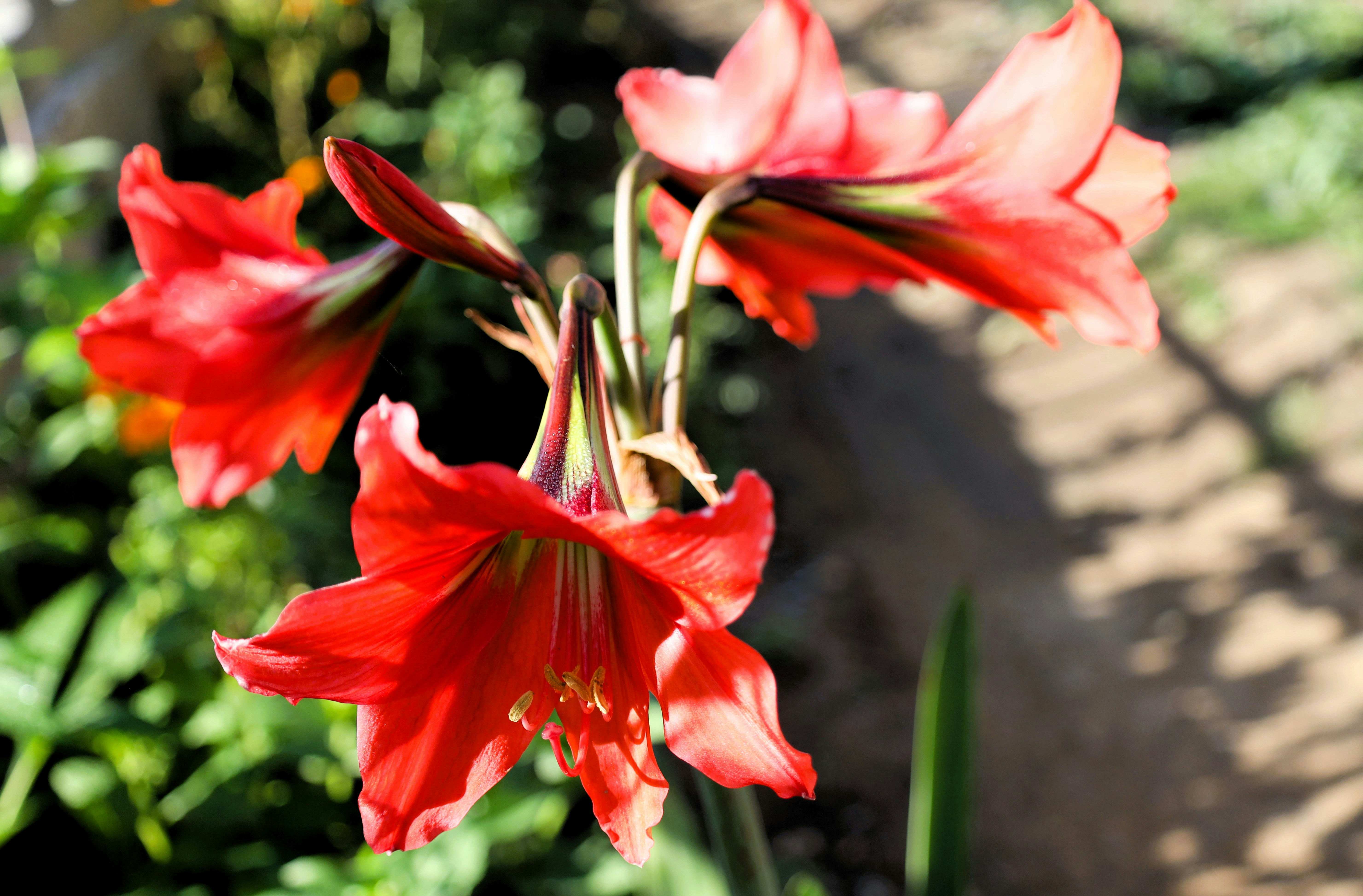 Photo by jaimegusmao