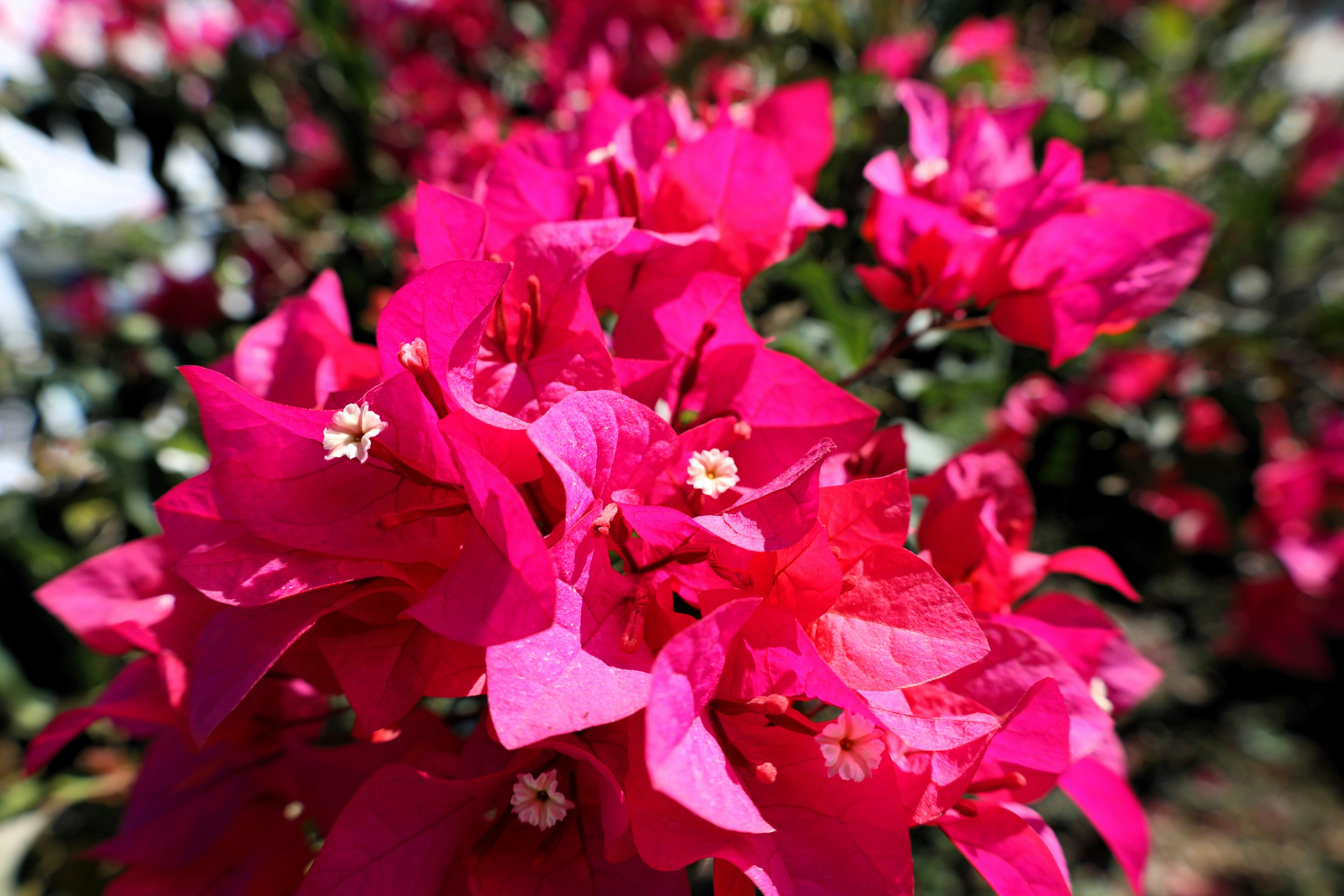 Photo by jaimegusmao