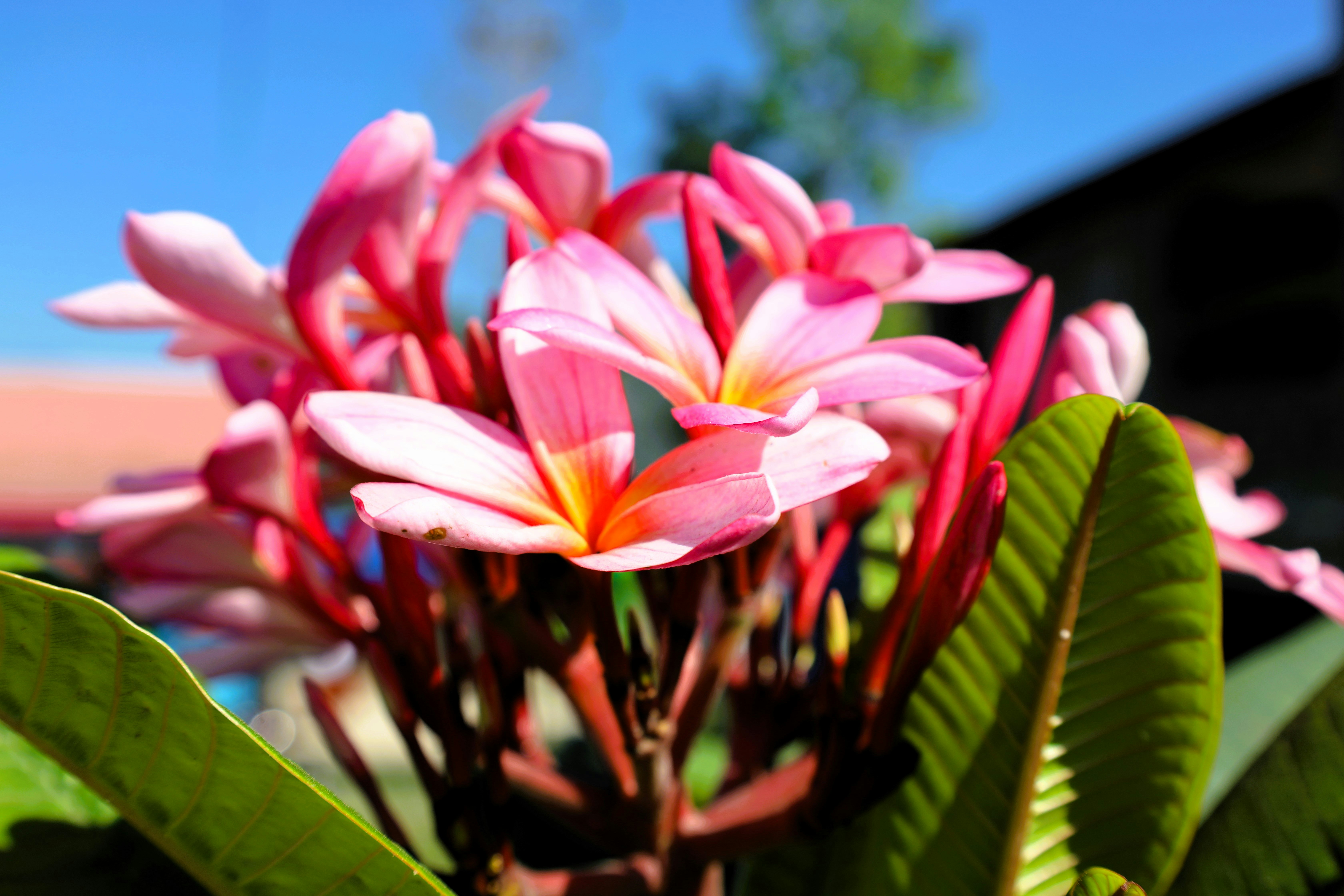 Photo by jaimegusmao