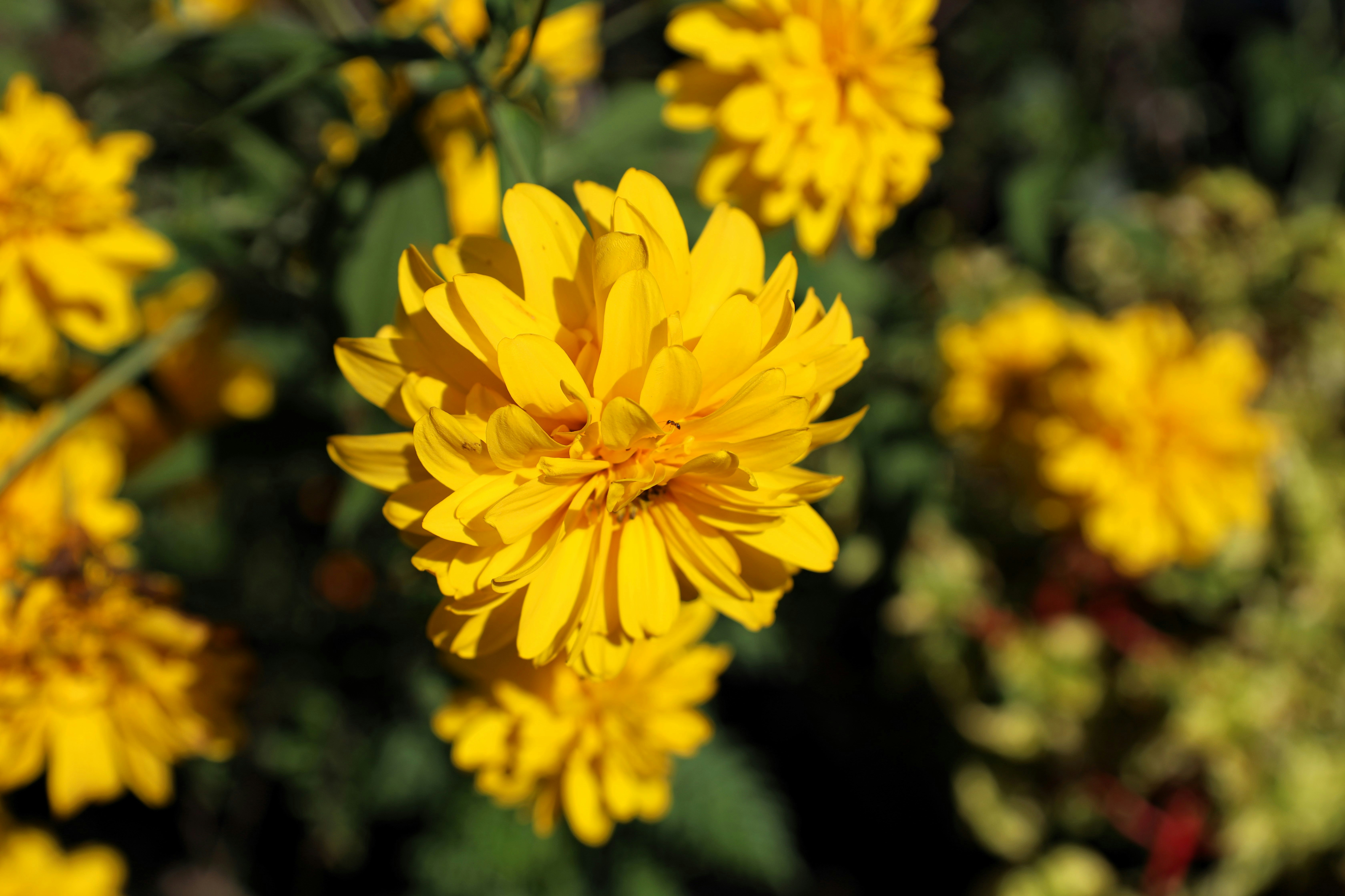 Photo by jaimegusmao