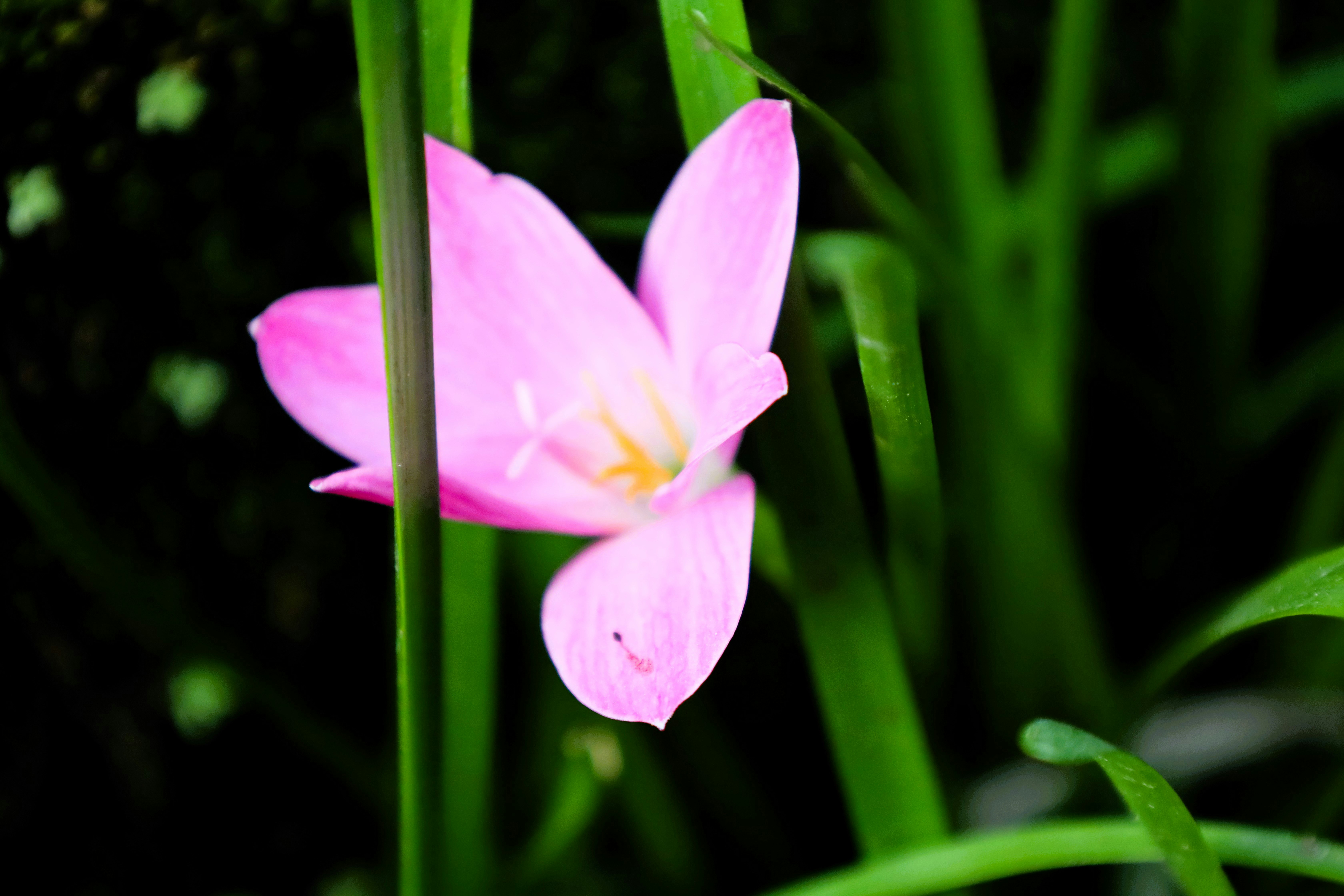 Photo by jaimegusmao