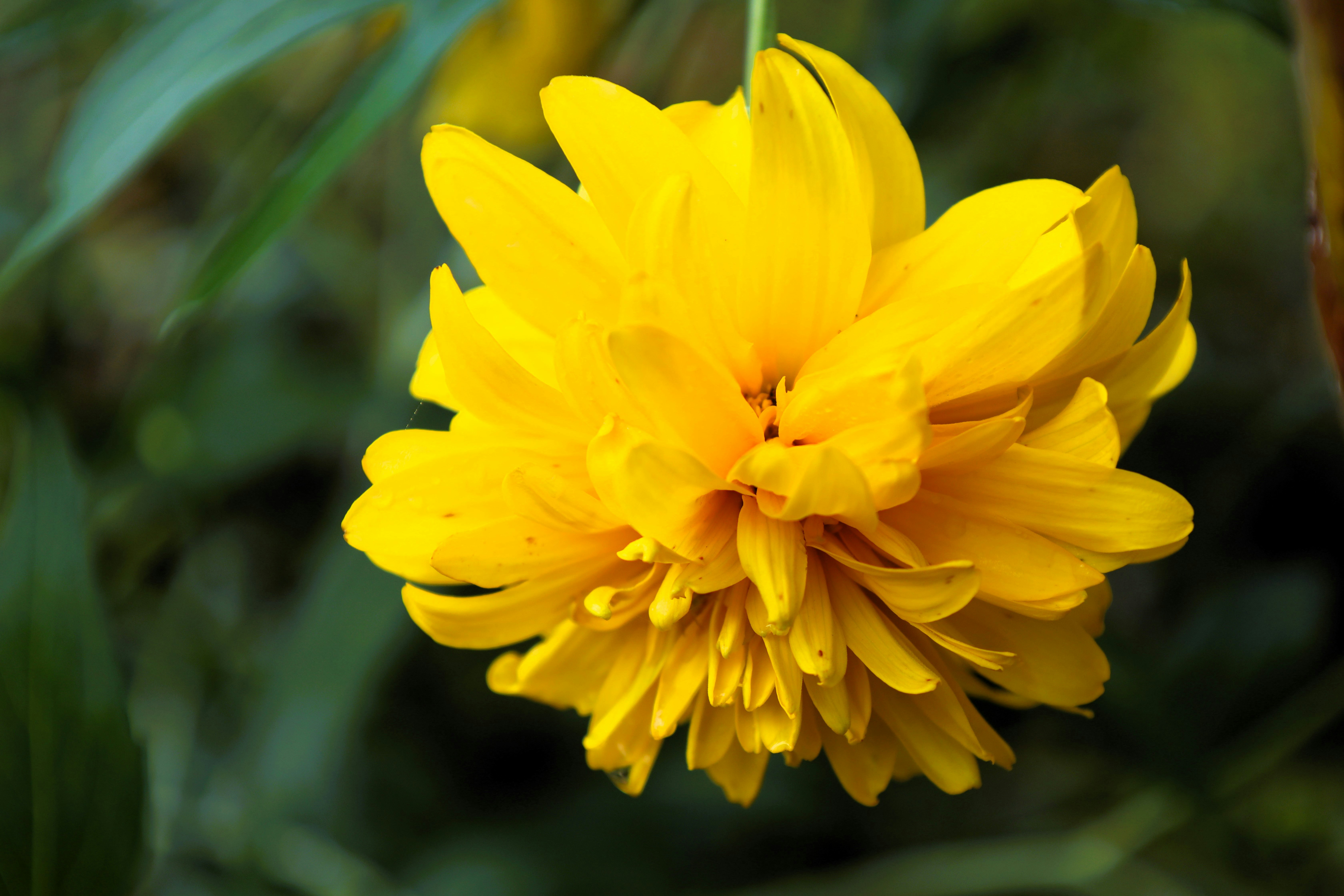 Photo by jaimegusmao