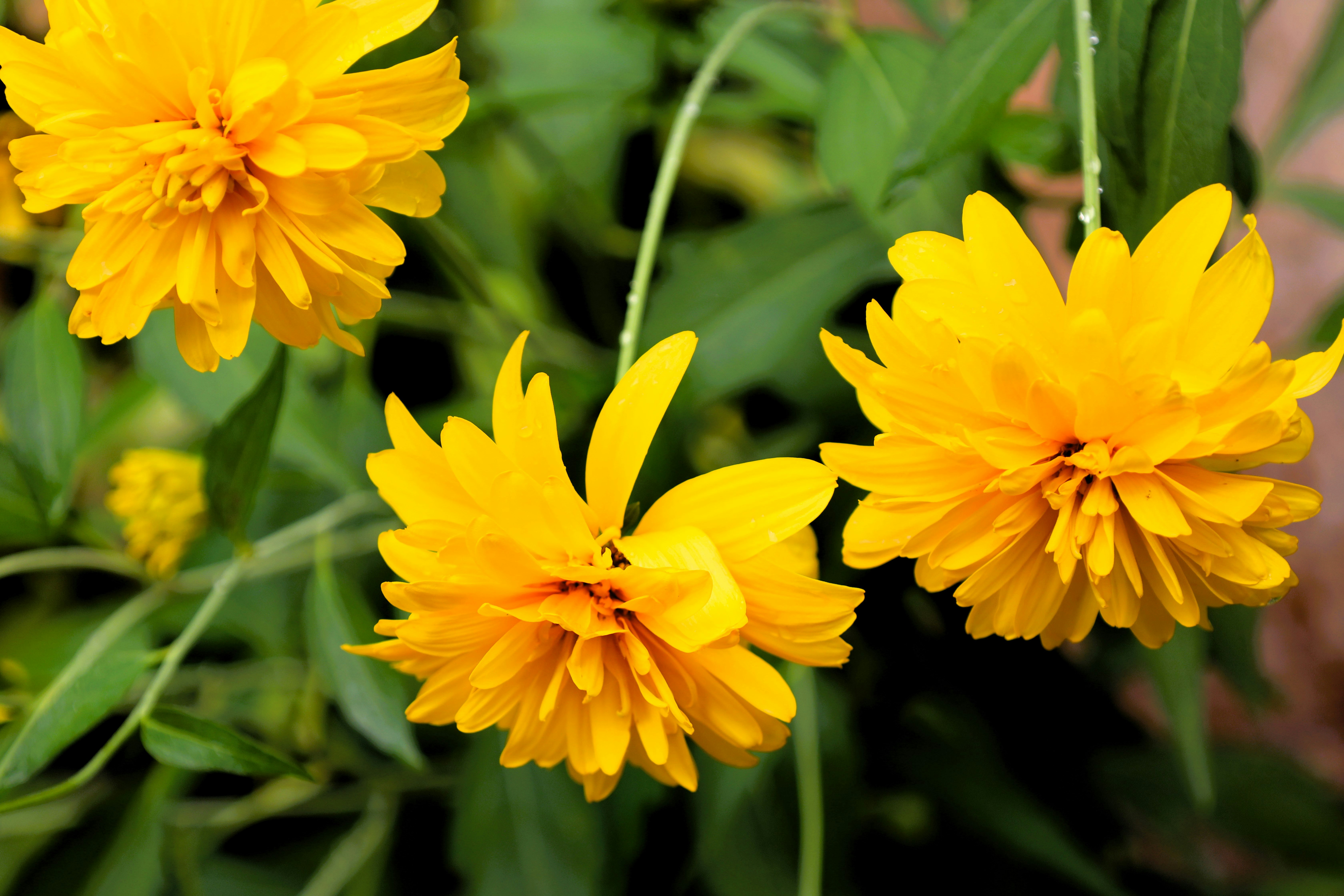 Photo by jaimegusmao