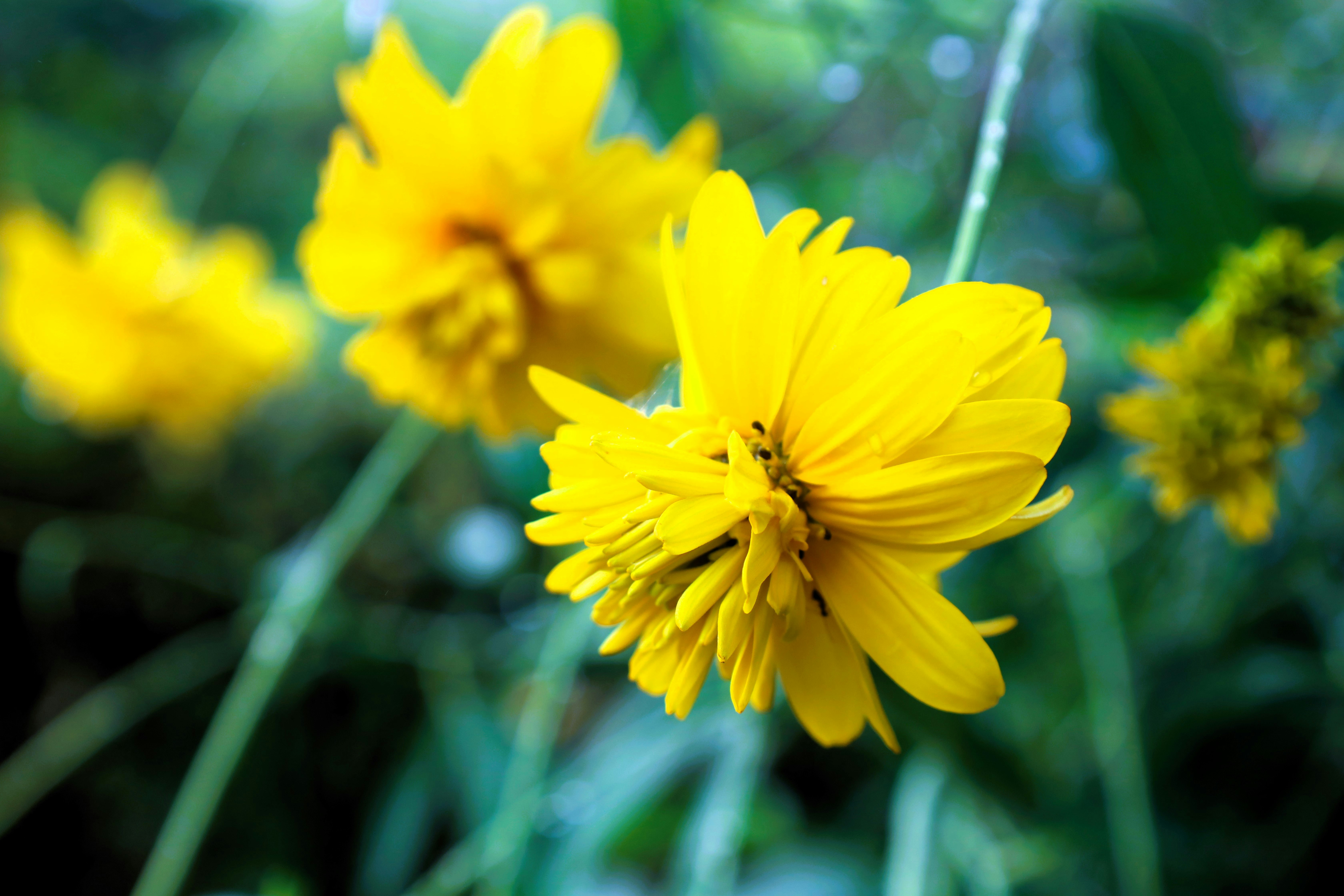 Photo by jaimegusmao