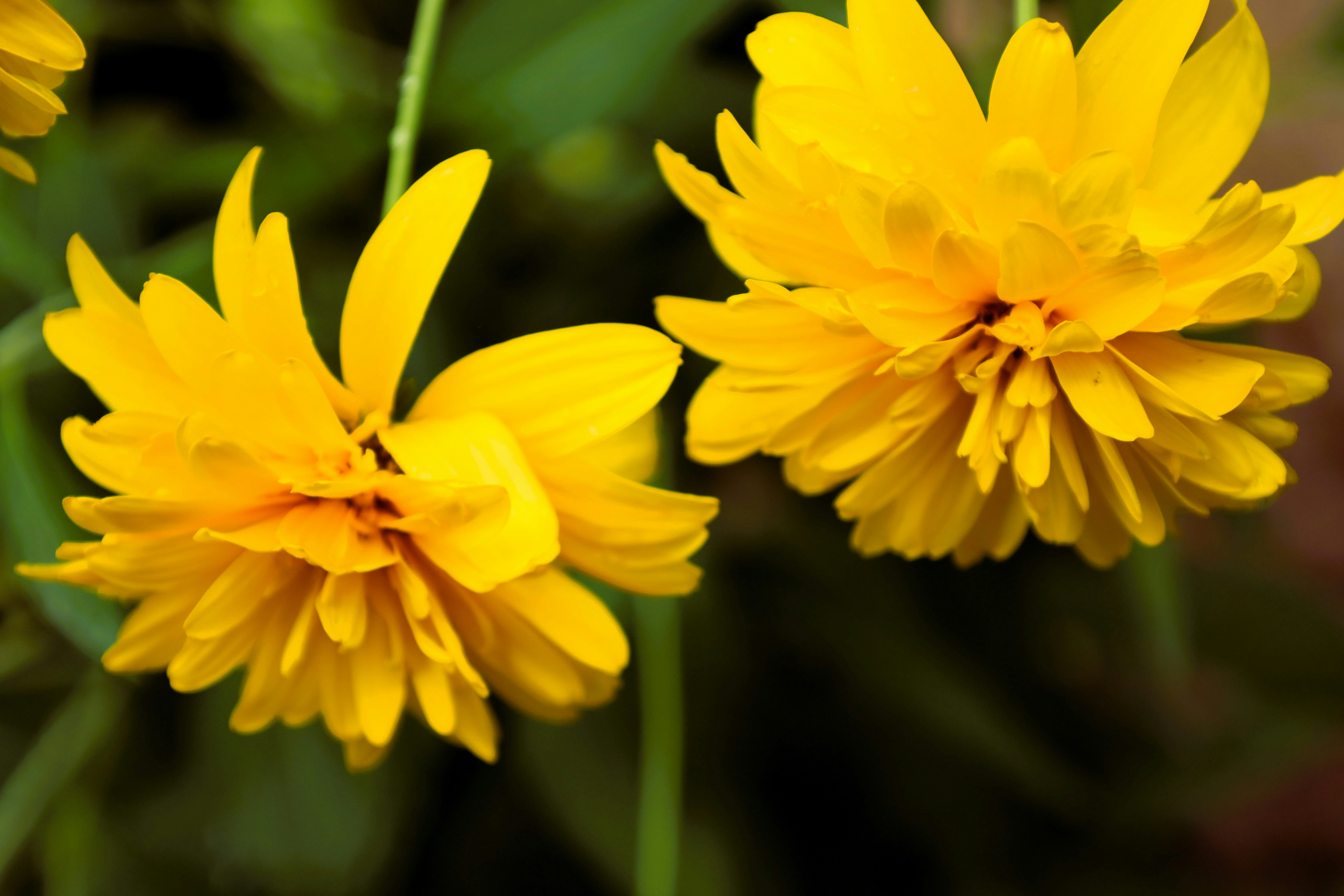 Photo by jaimegusmao