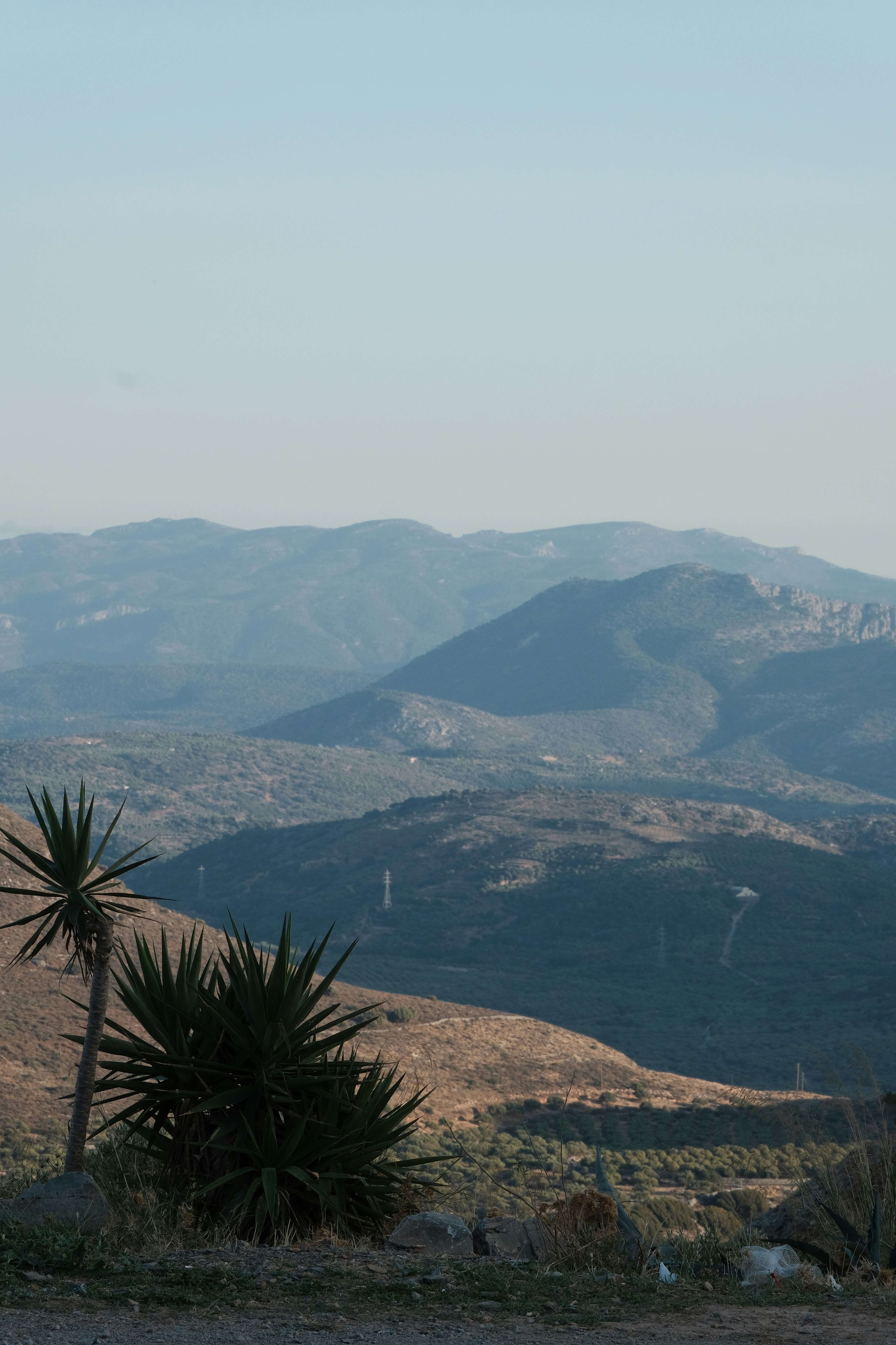 Photo by rozoviesloniki