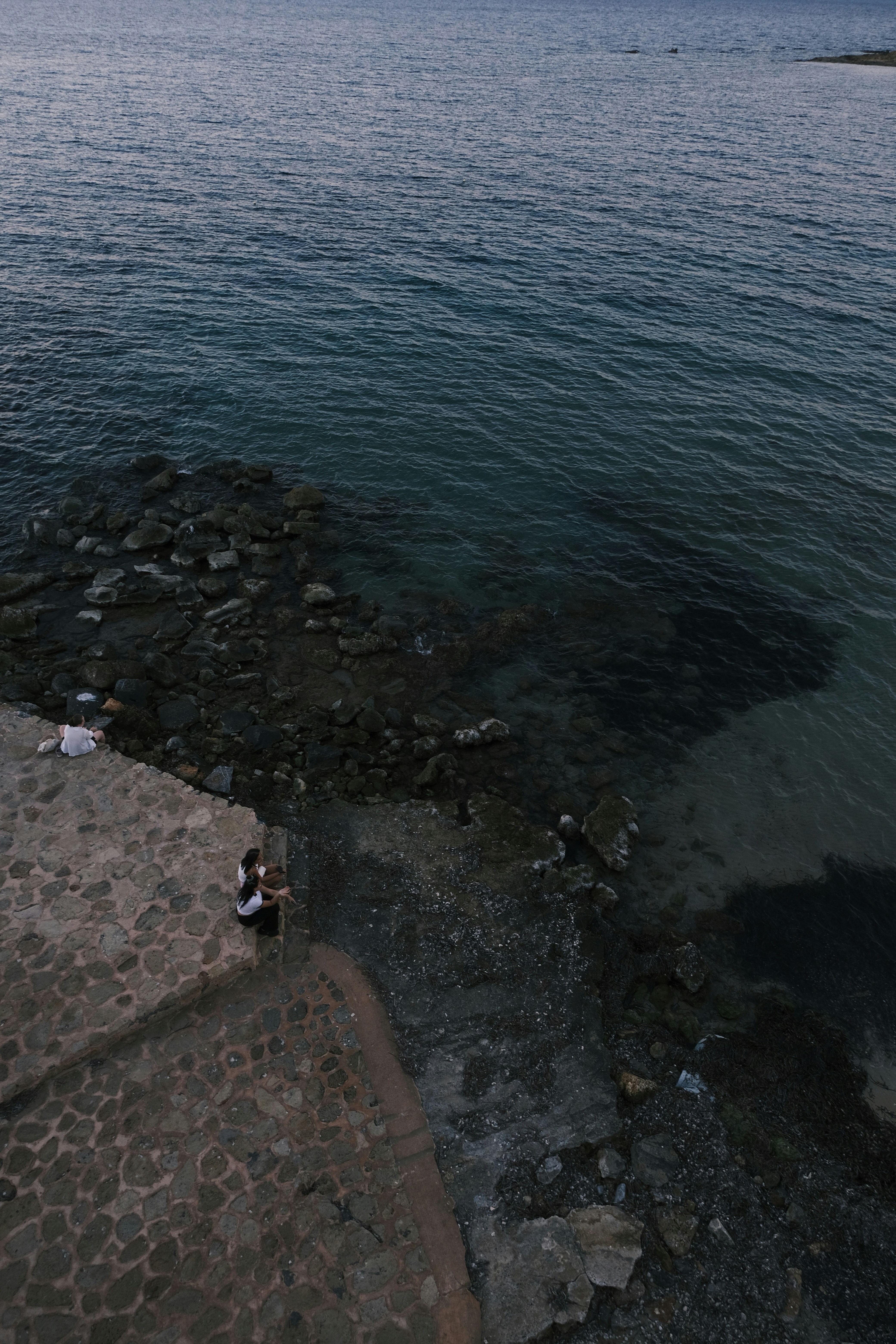 Photo by rozoviesloniki