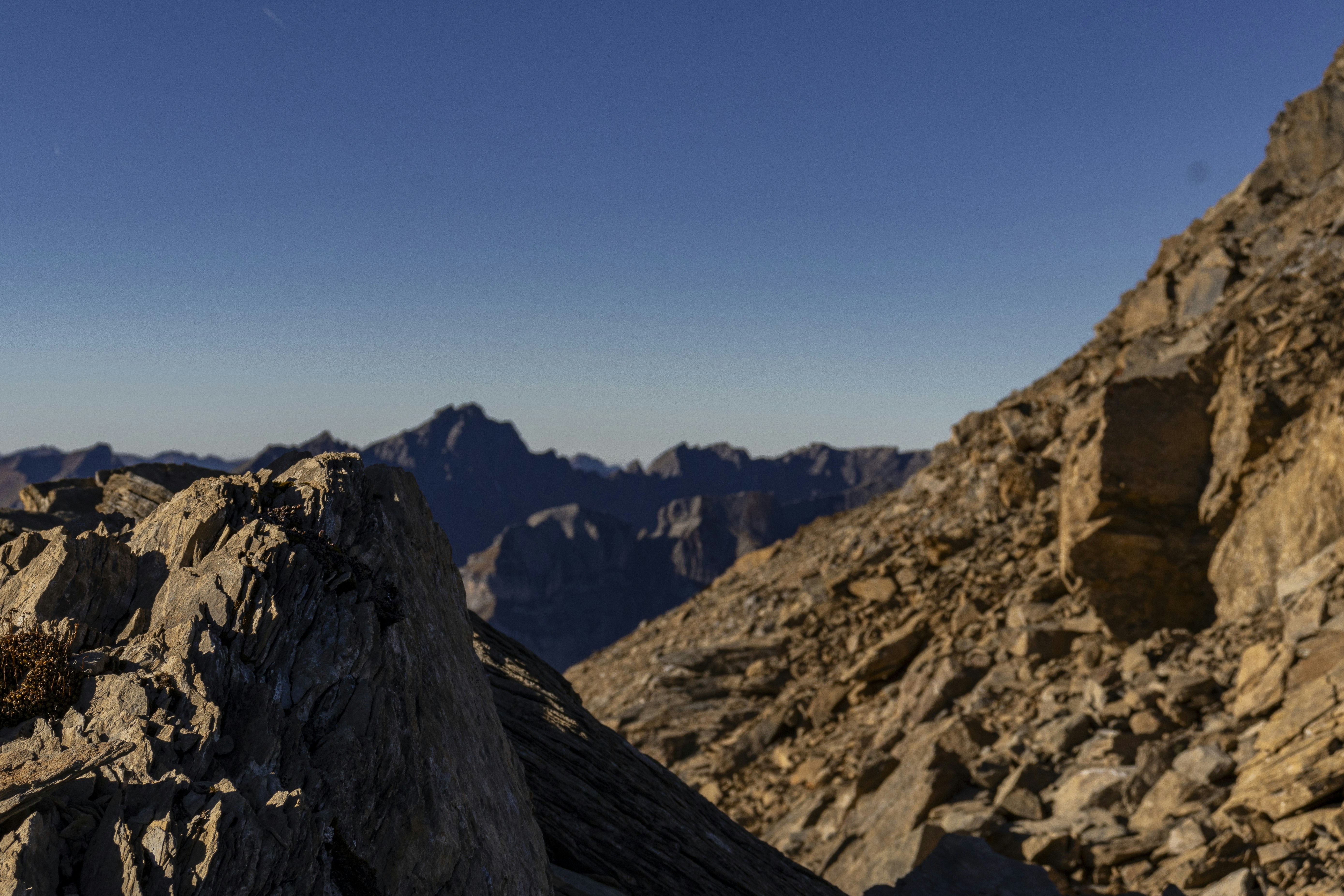 Photo by sinakollegger