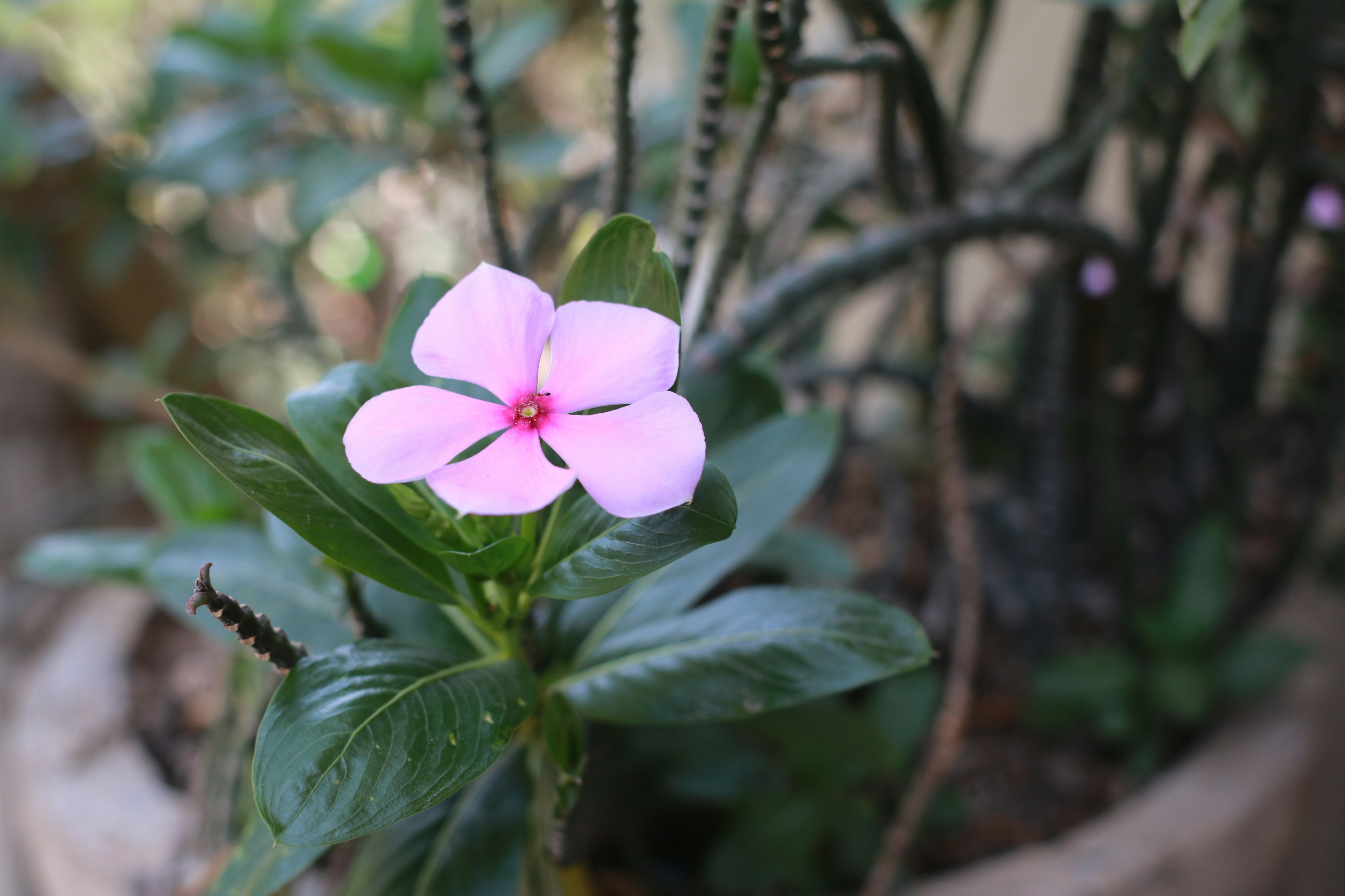 Photo by ksht