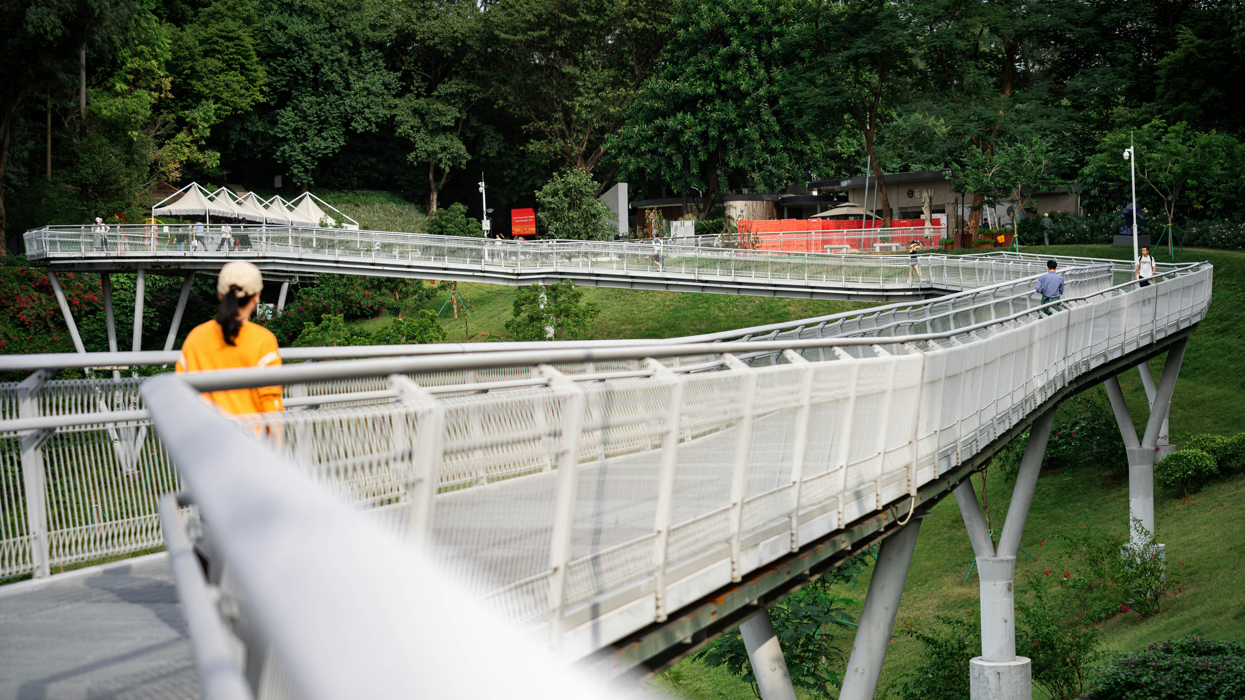 A person standing on a bridge with trees in the background