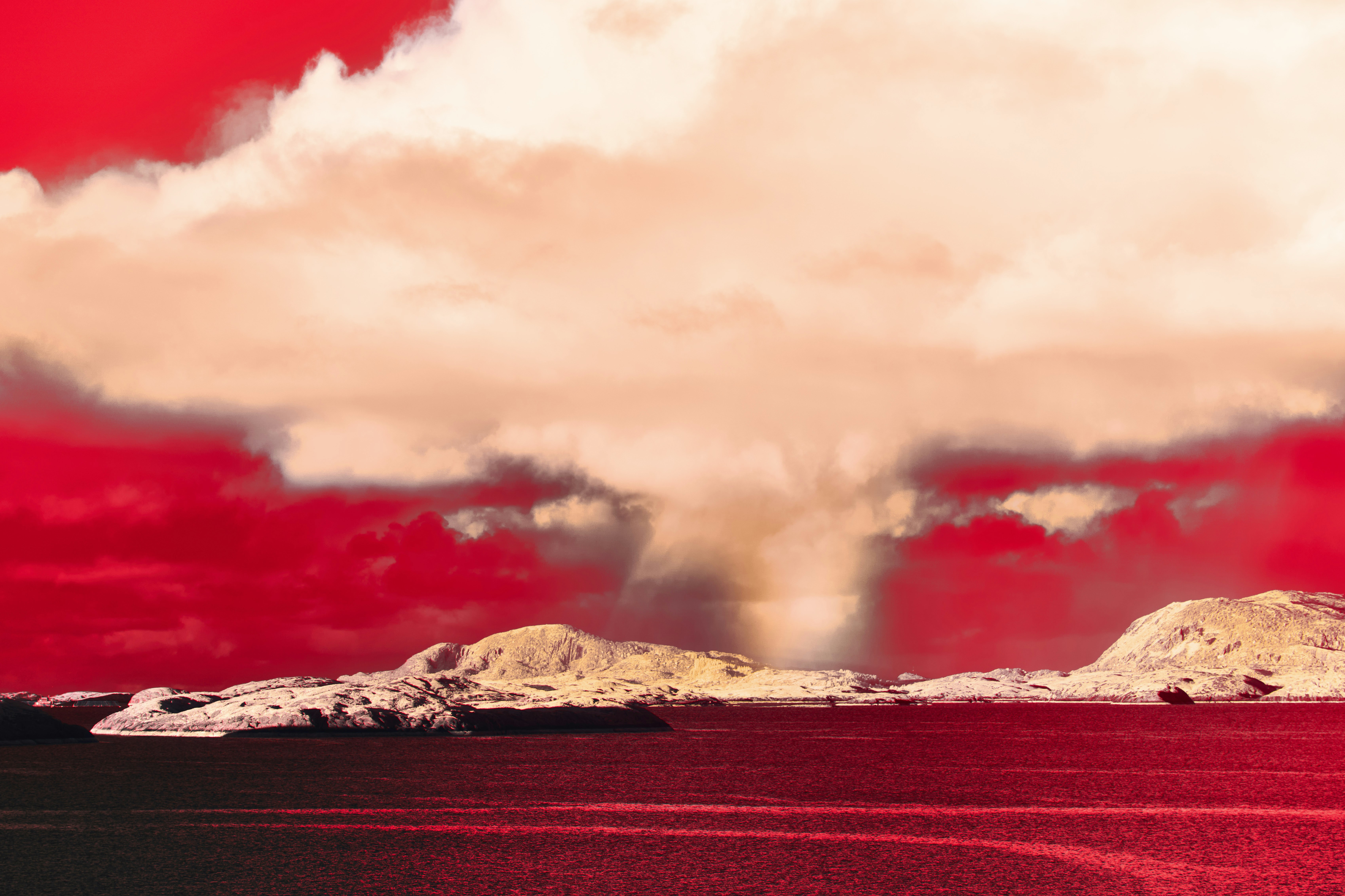 Photo by wolfgang_hasselmann