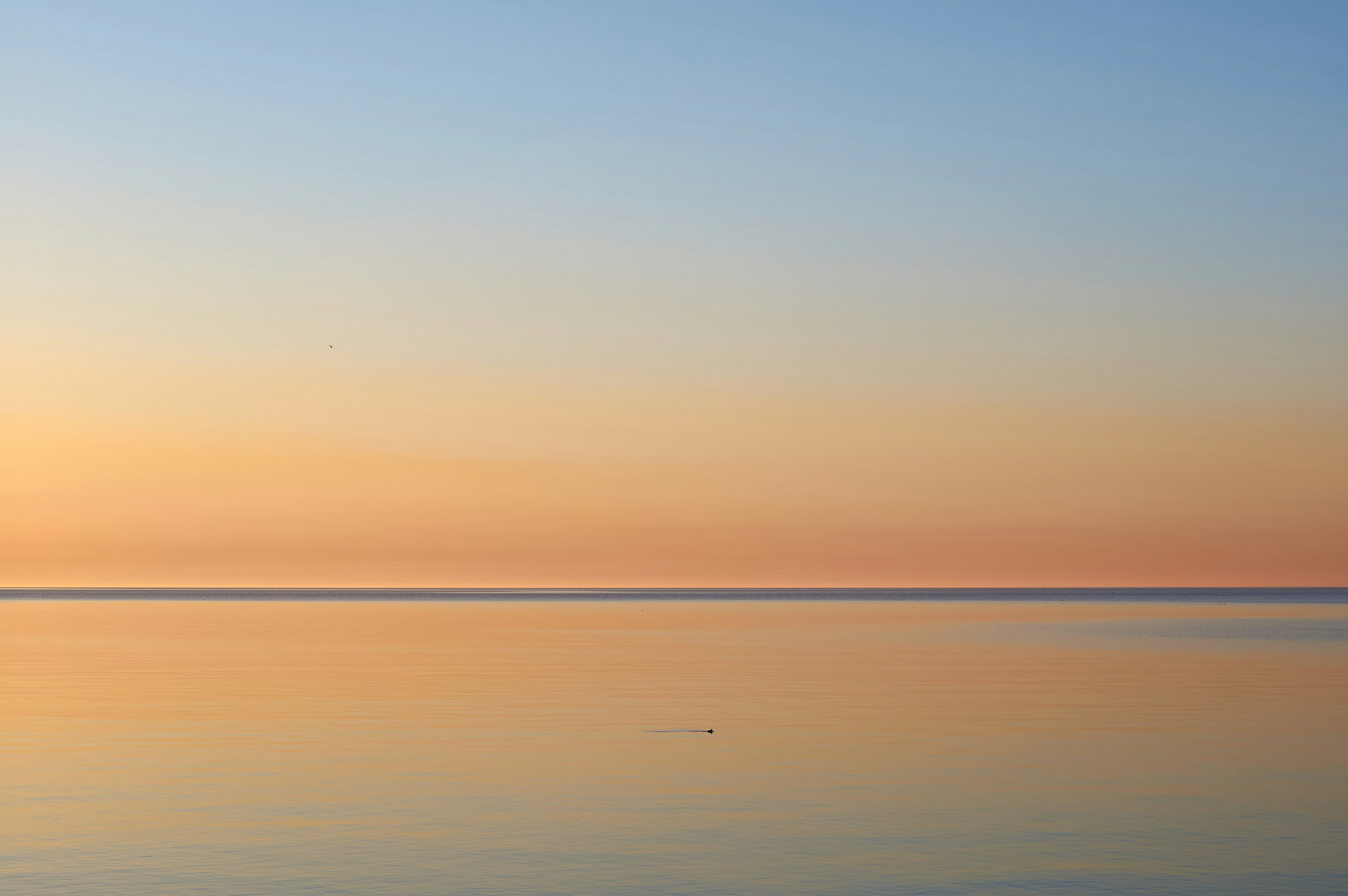 Photo by wolfgang_hasselmann