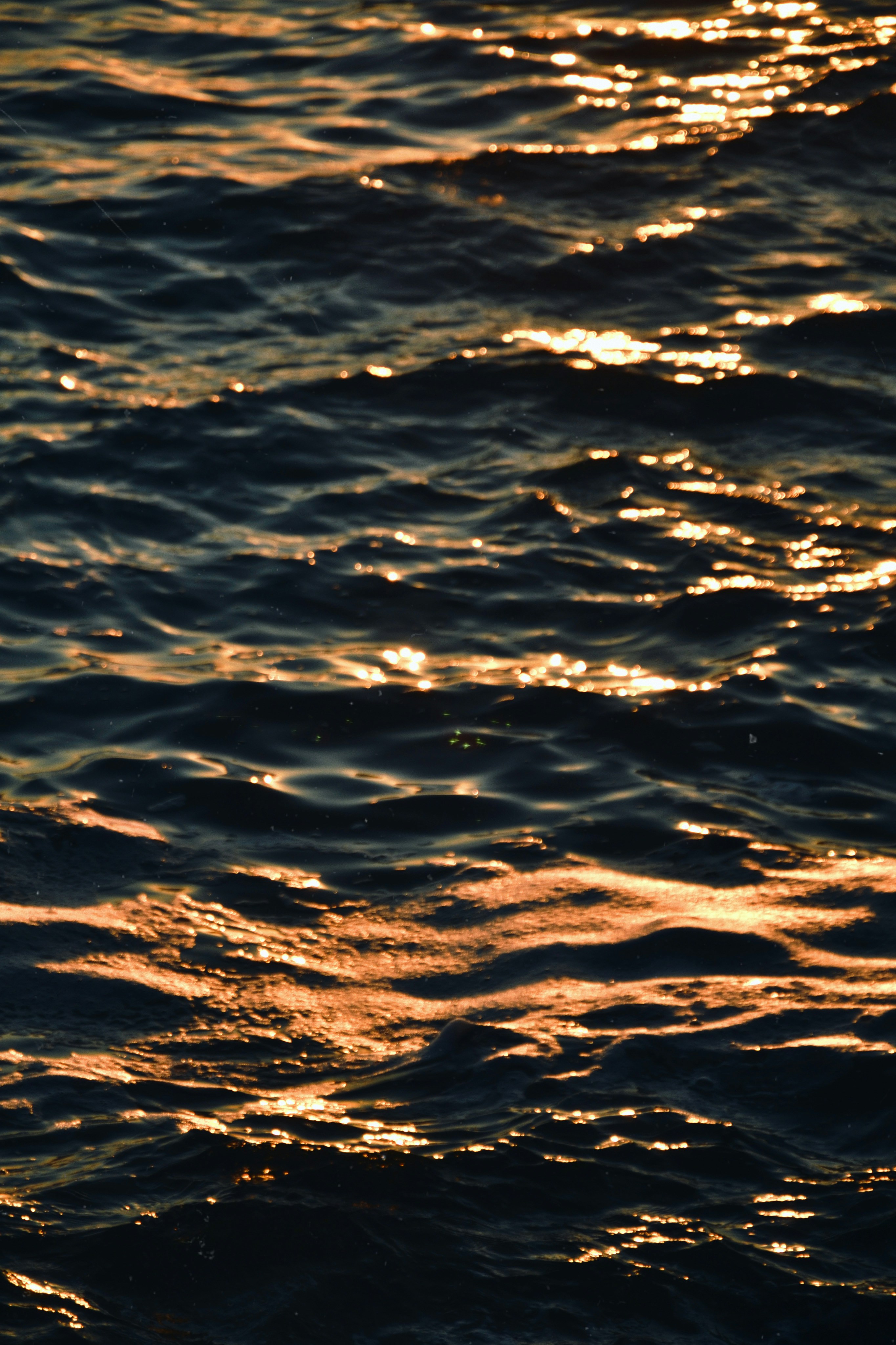 Photo by anivardiero