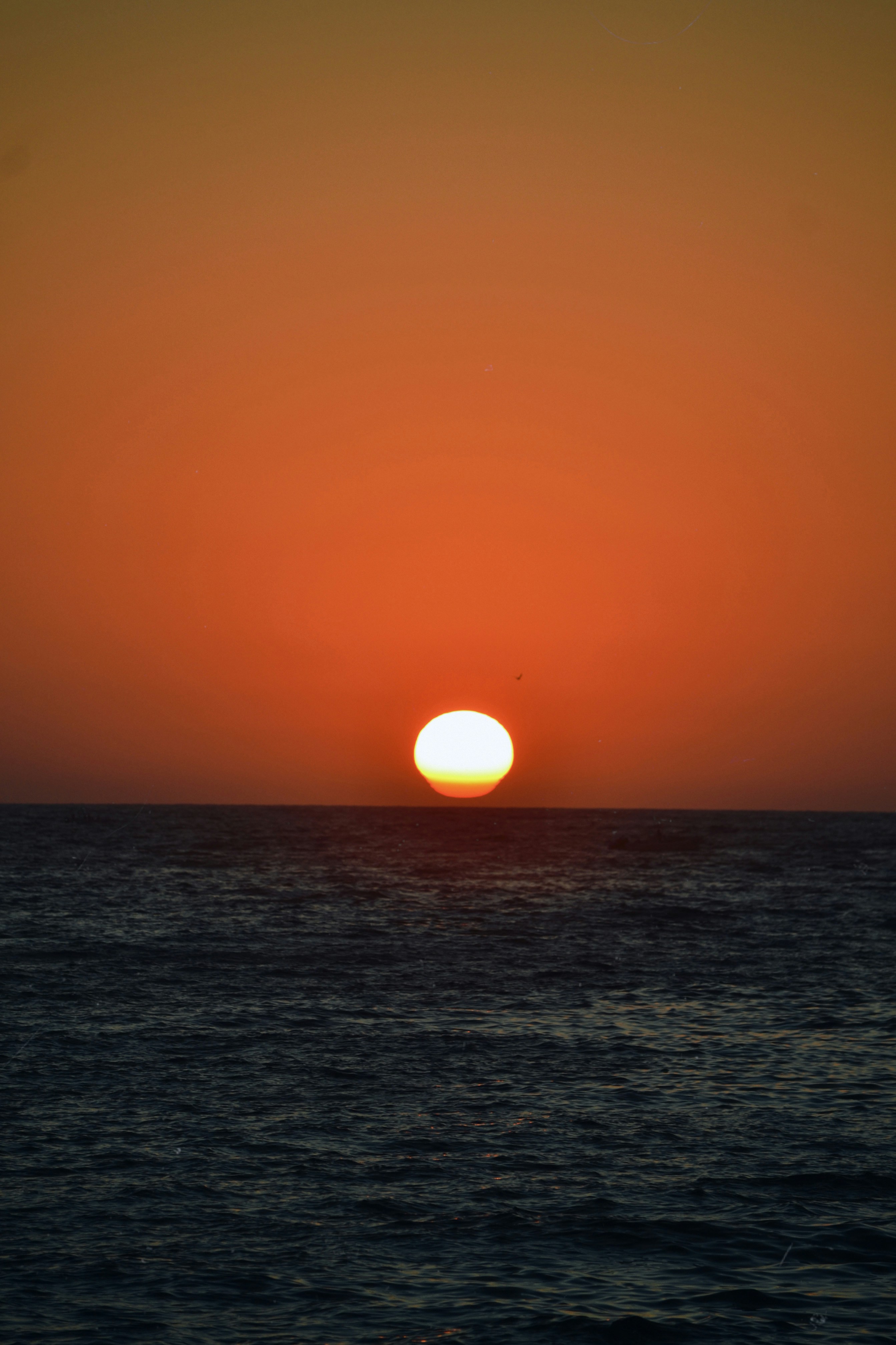 Photo by anivardiero