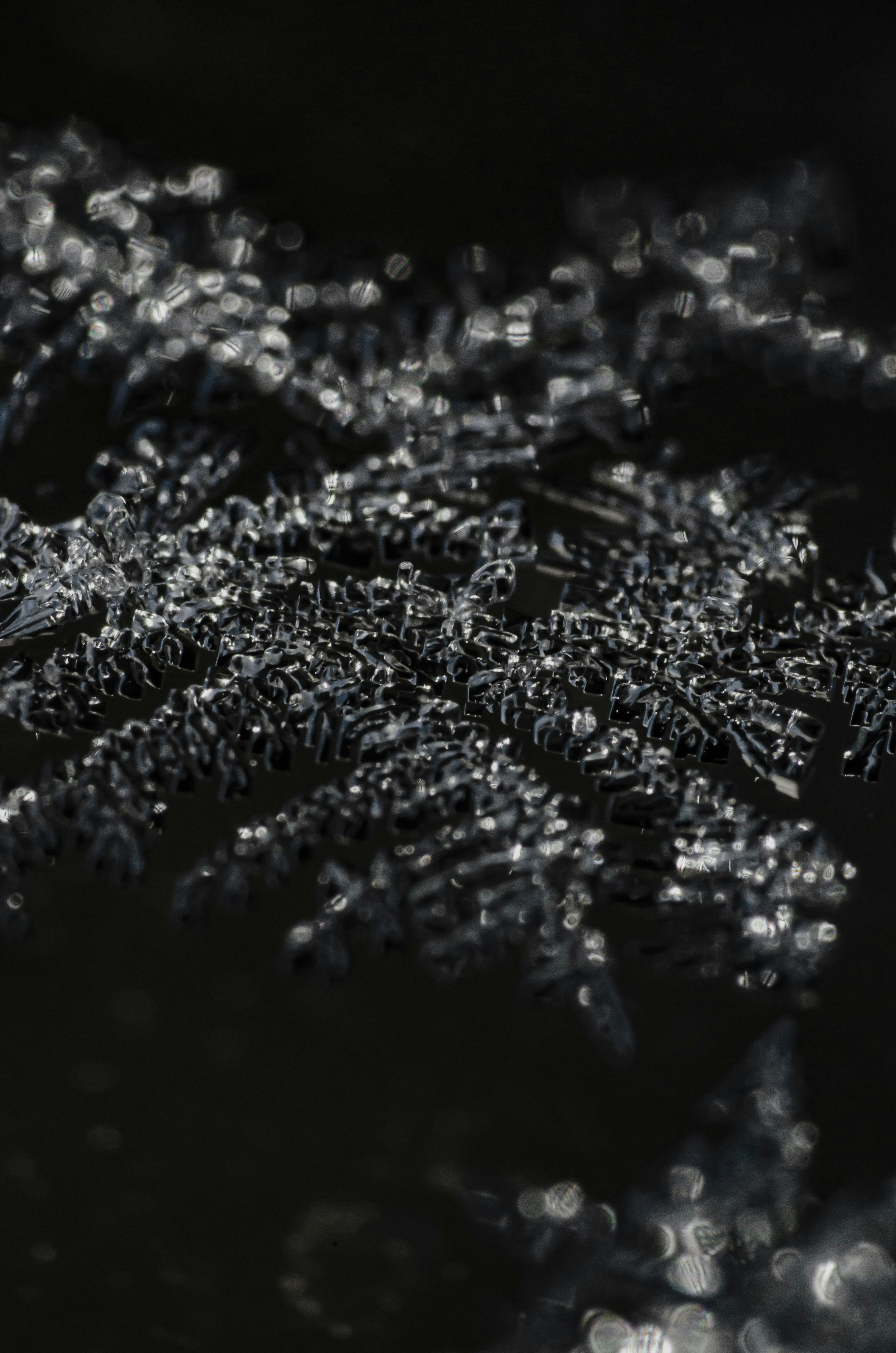 Photo by andrilliardbond