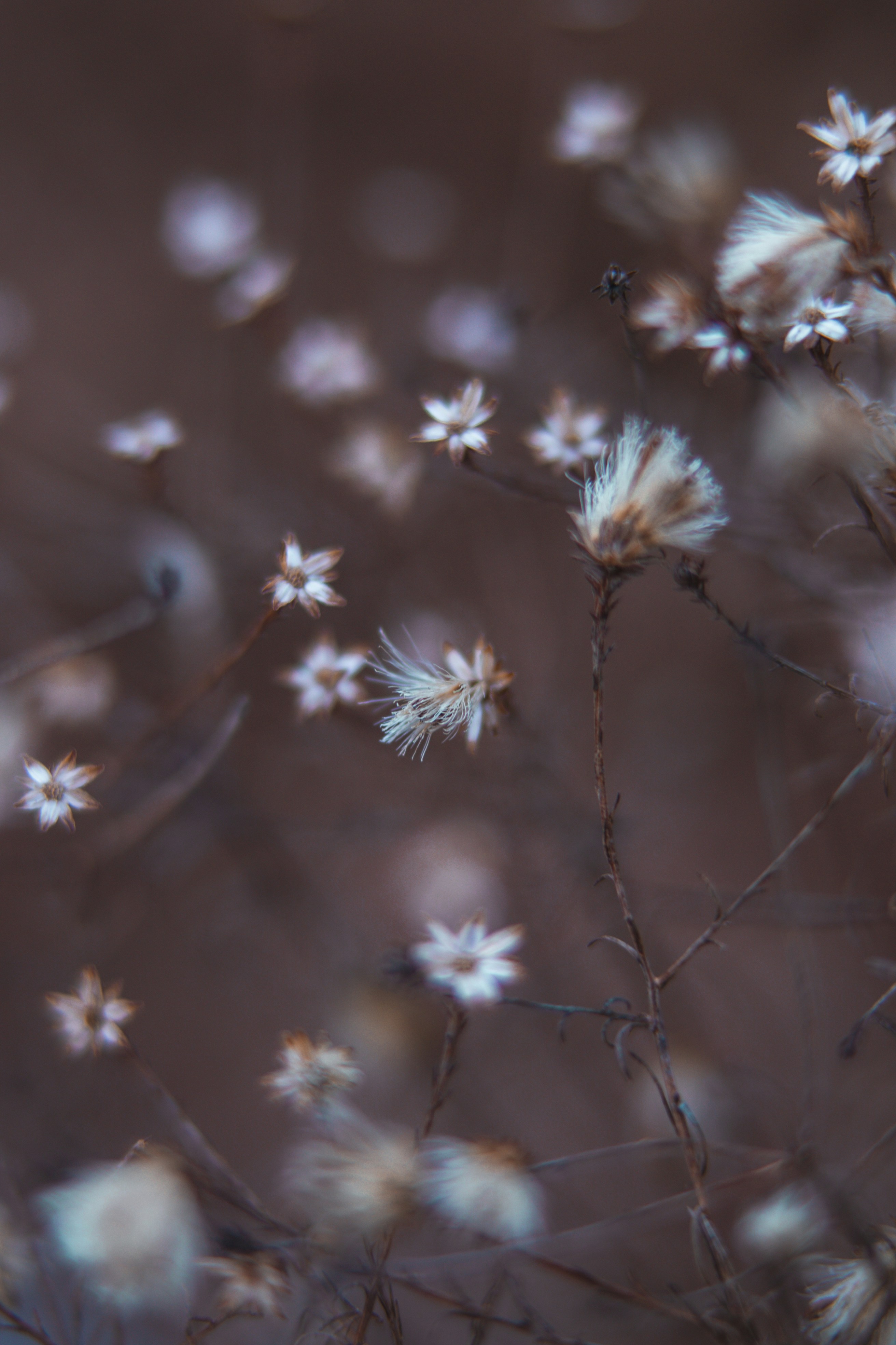 Photo by anamnesis33