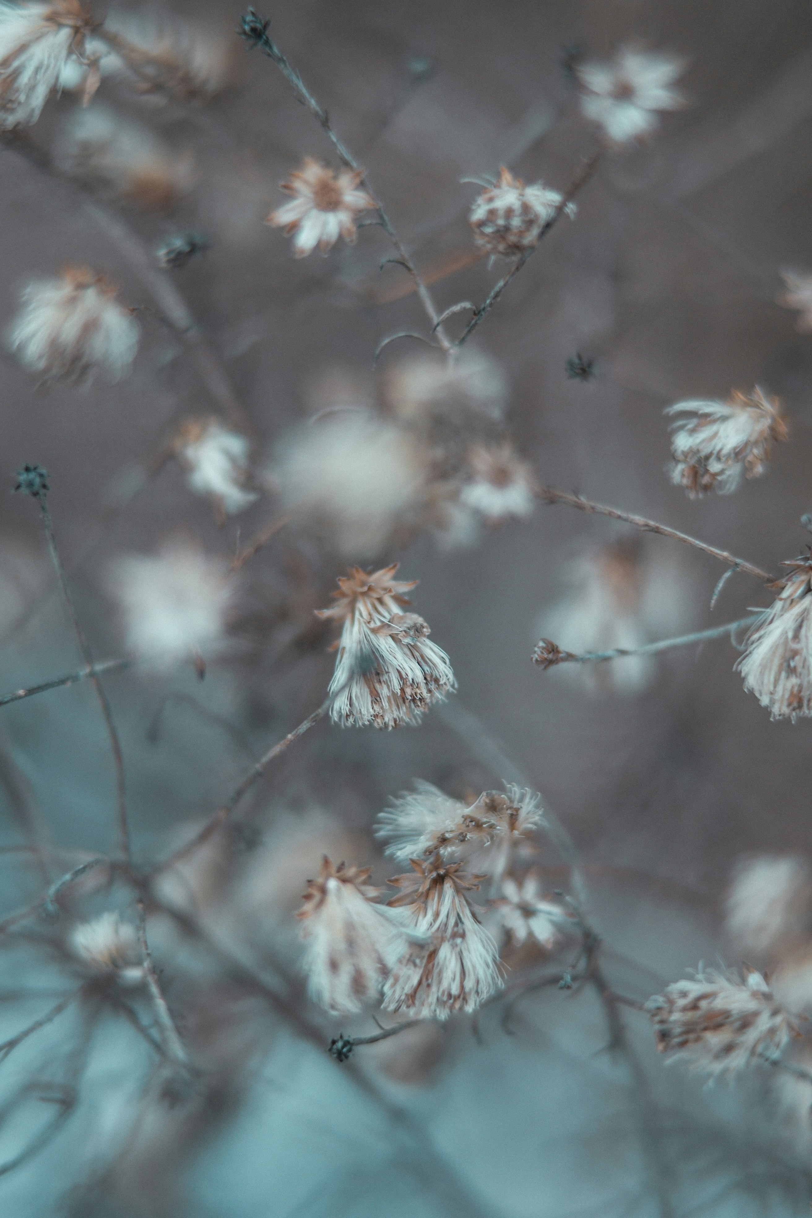 Photo by anamnesis33