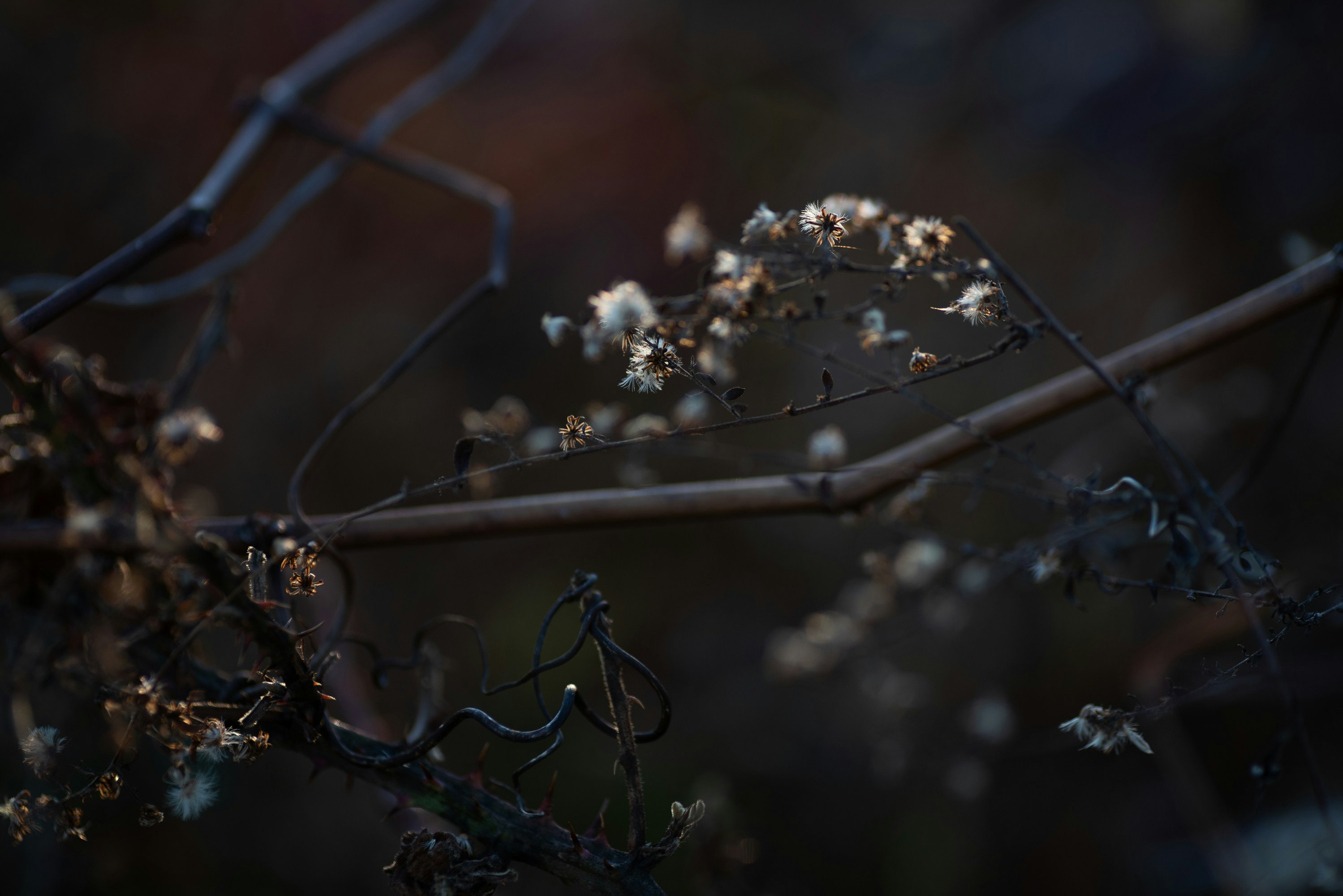 Photo by renatakneedham