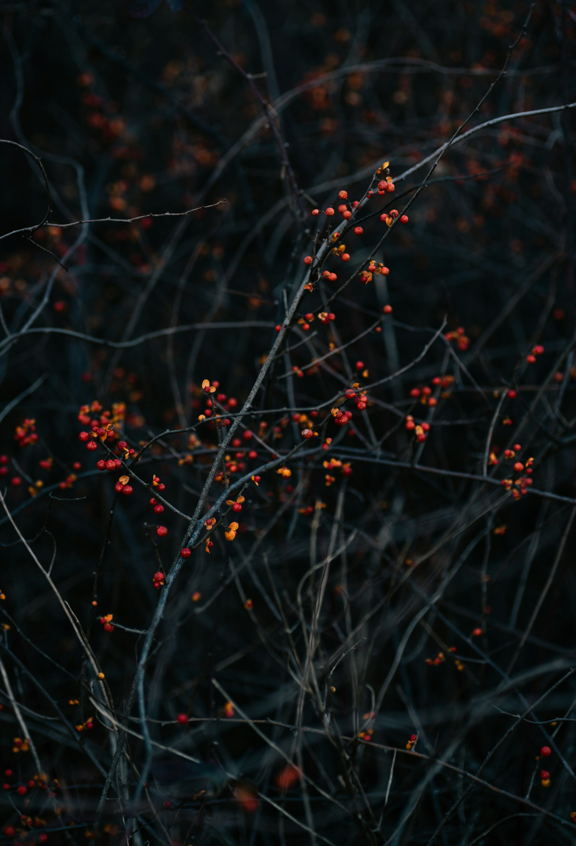 Photo by renatakneedham