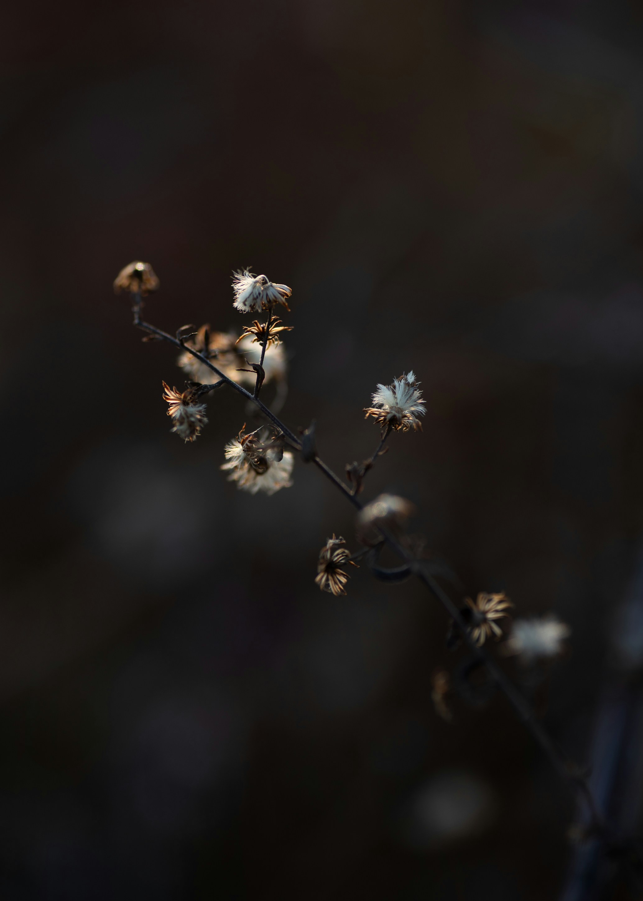 Photo by renatakneedham