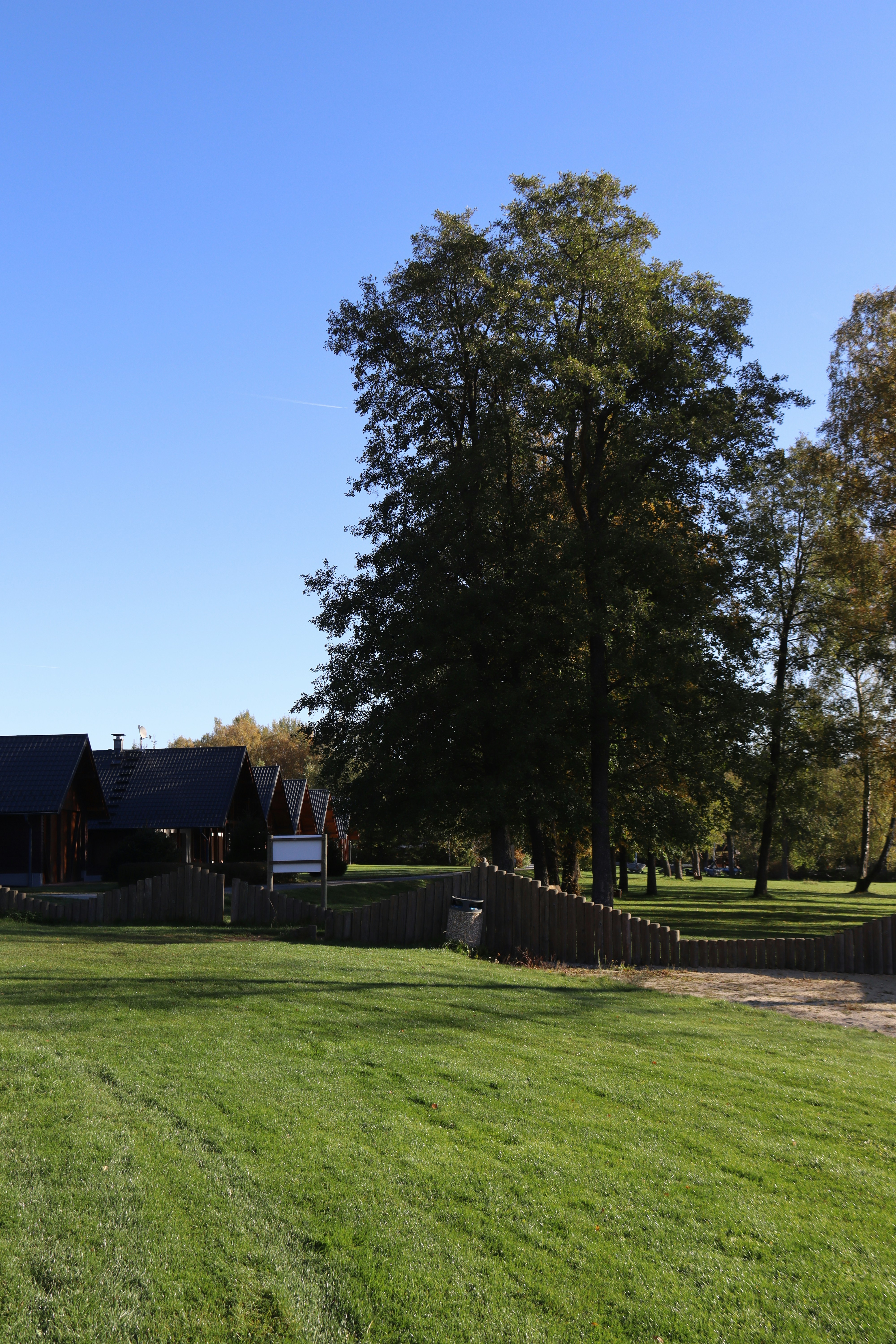 Photo by shalevcohen