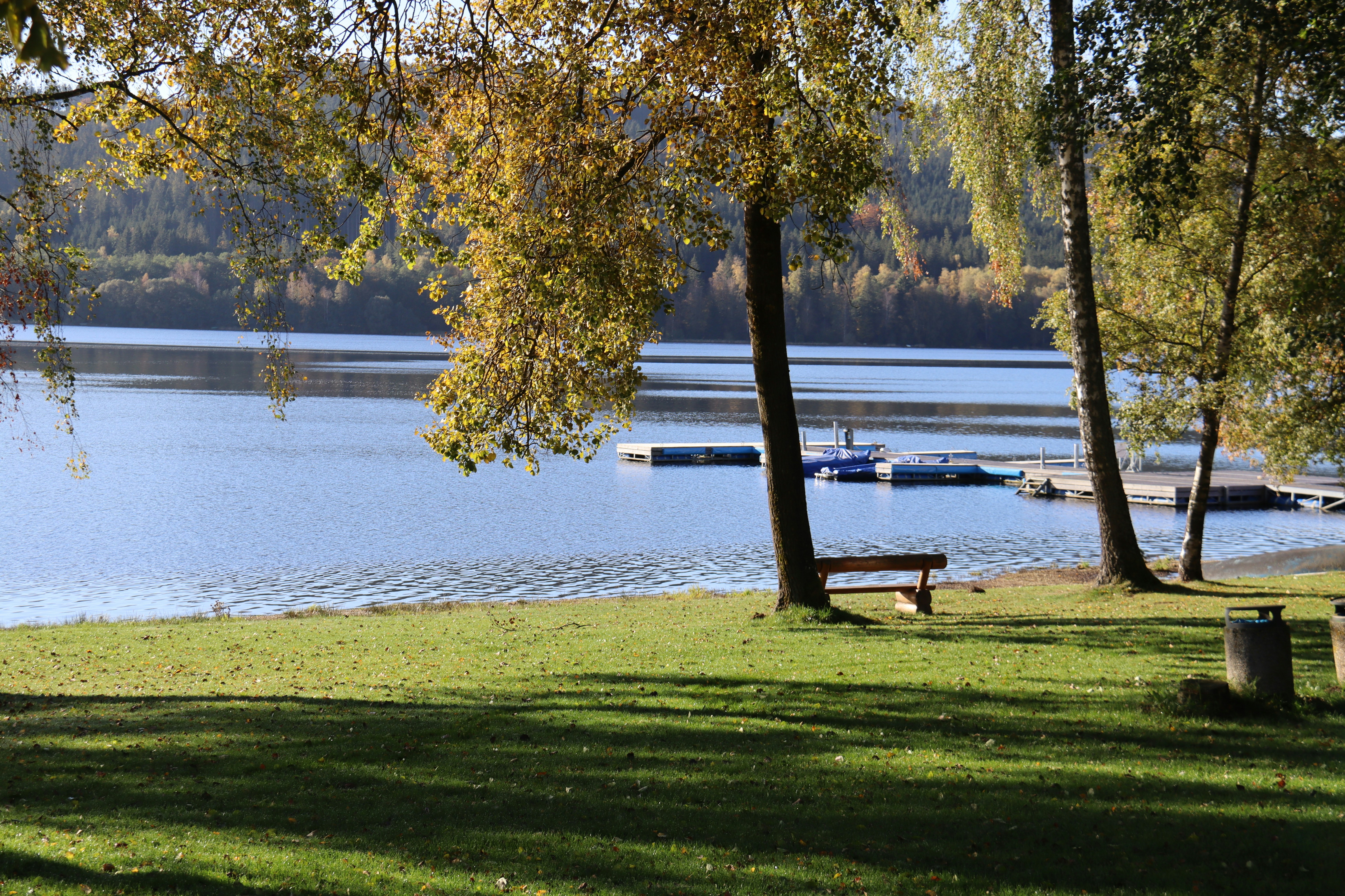 Photo by shalevcohen