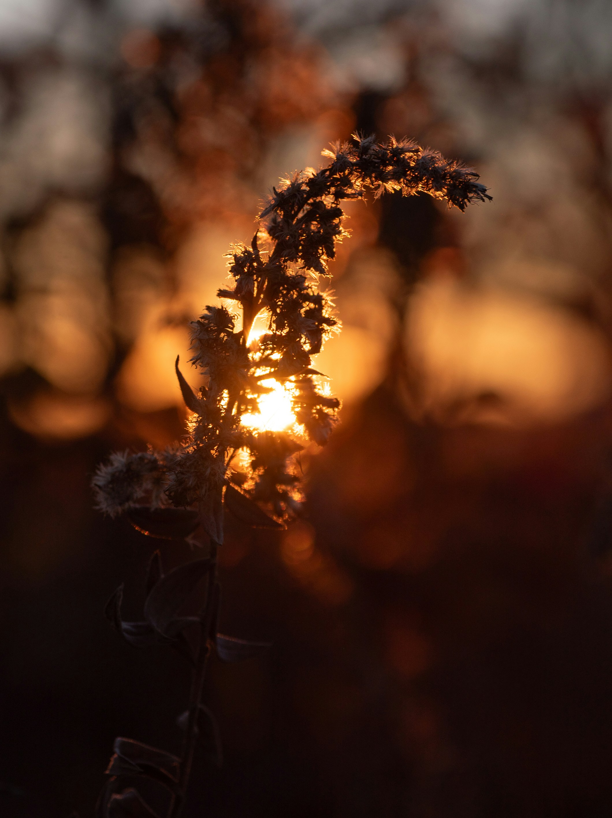 Photo by renatakneedham