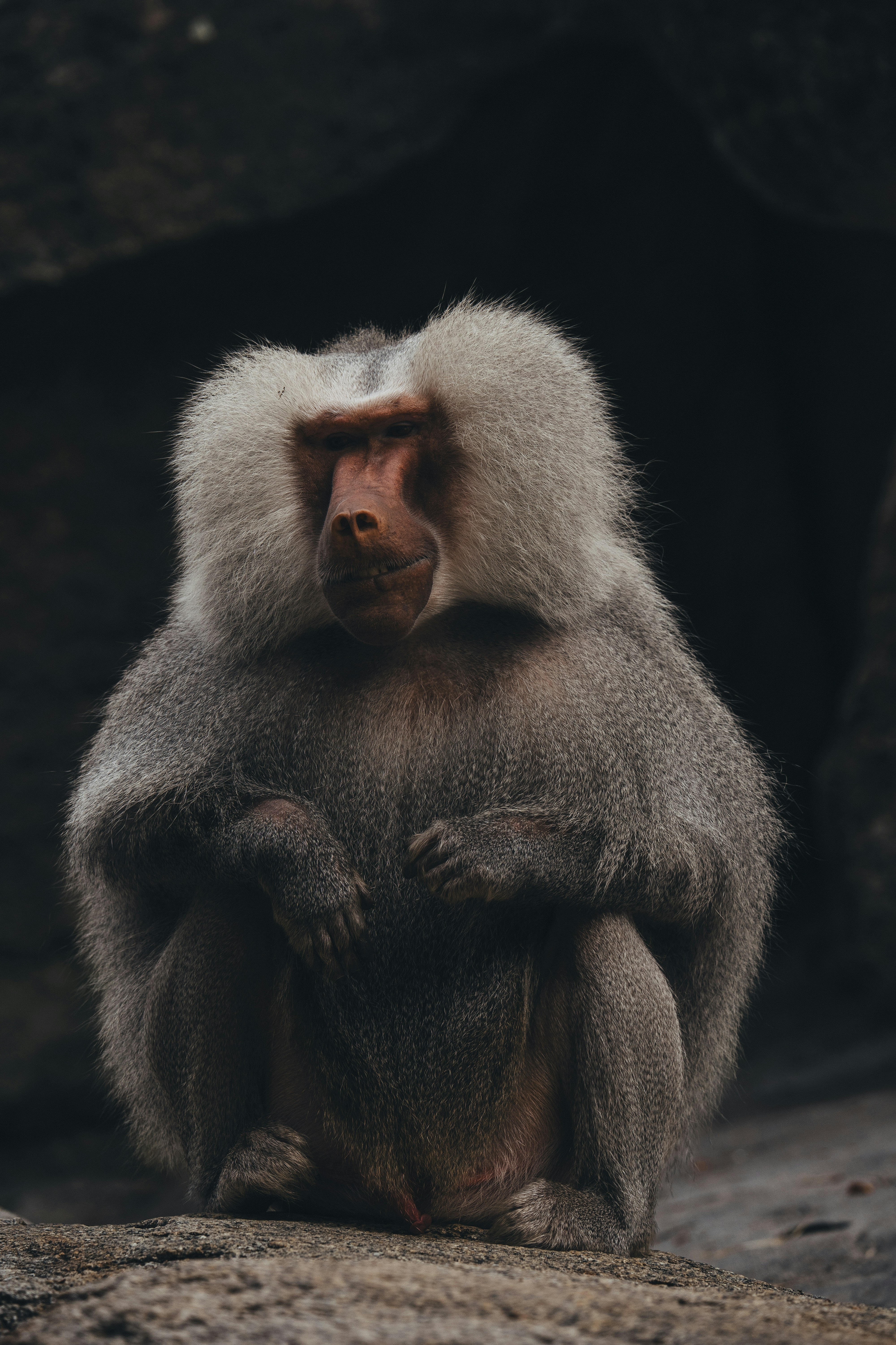 Photo by omarvellous14