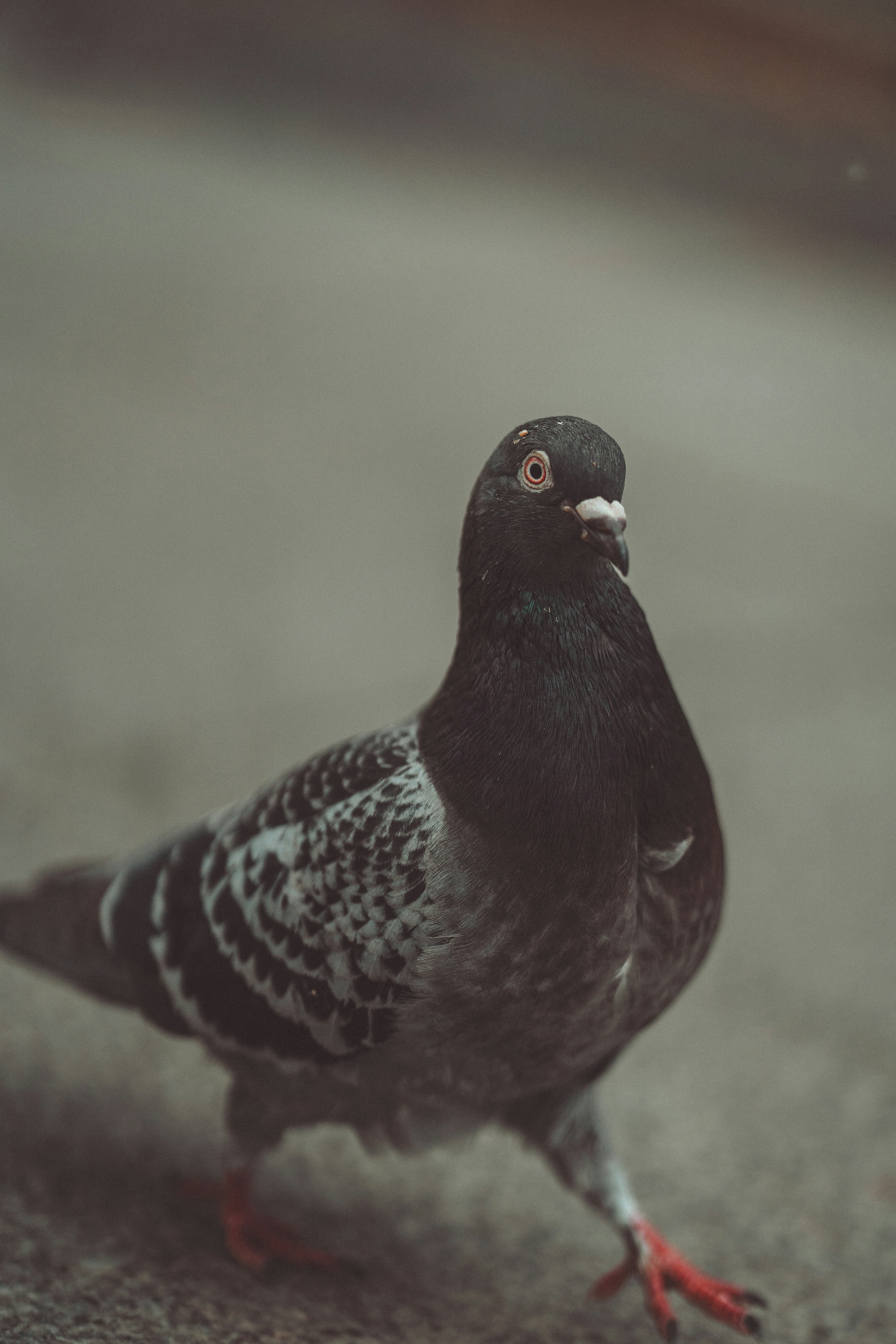 Photo by omarvellous14