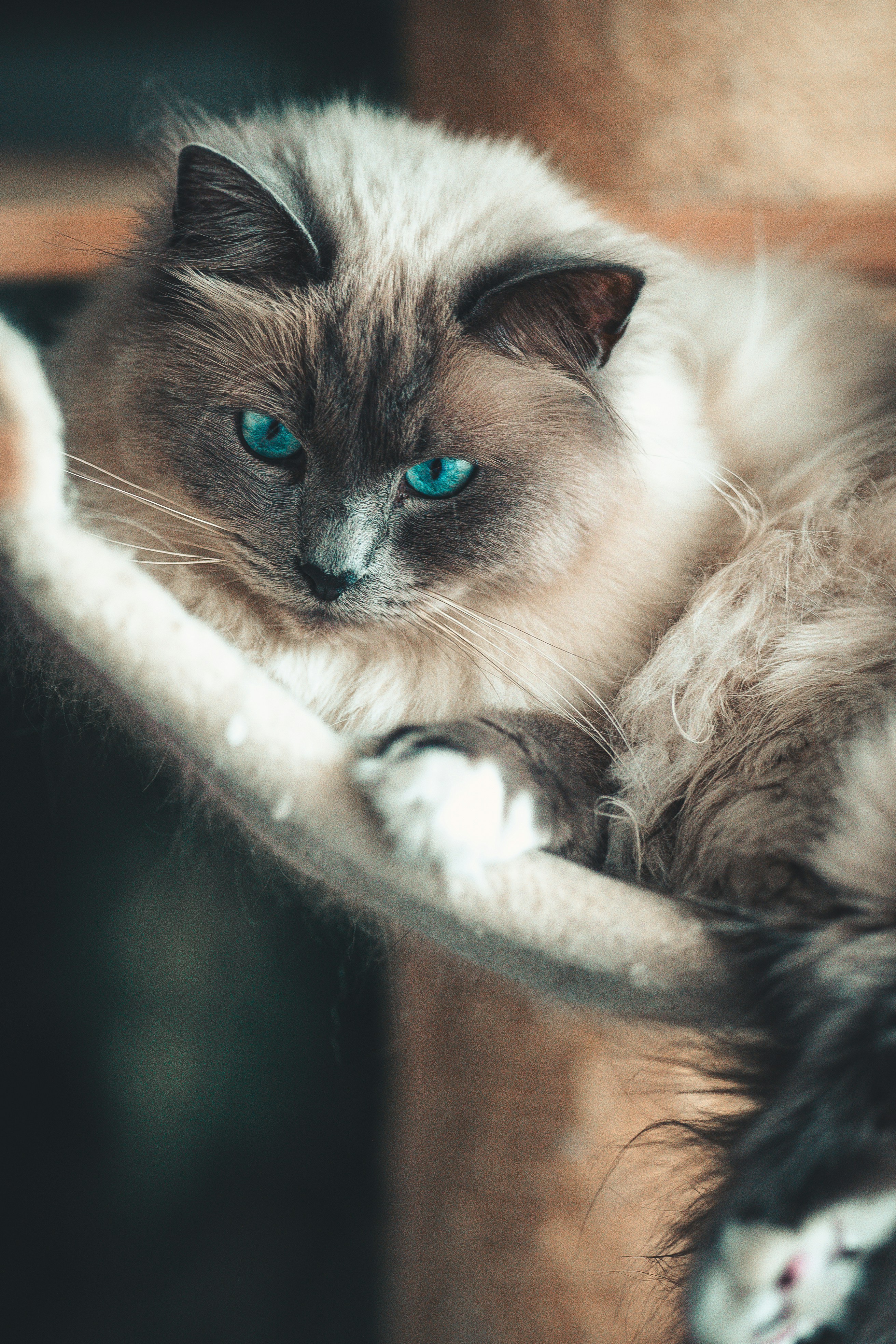 Photo by omarvellous14