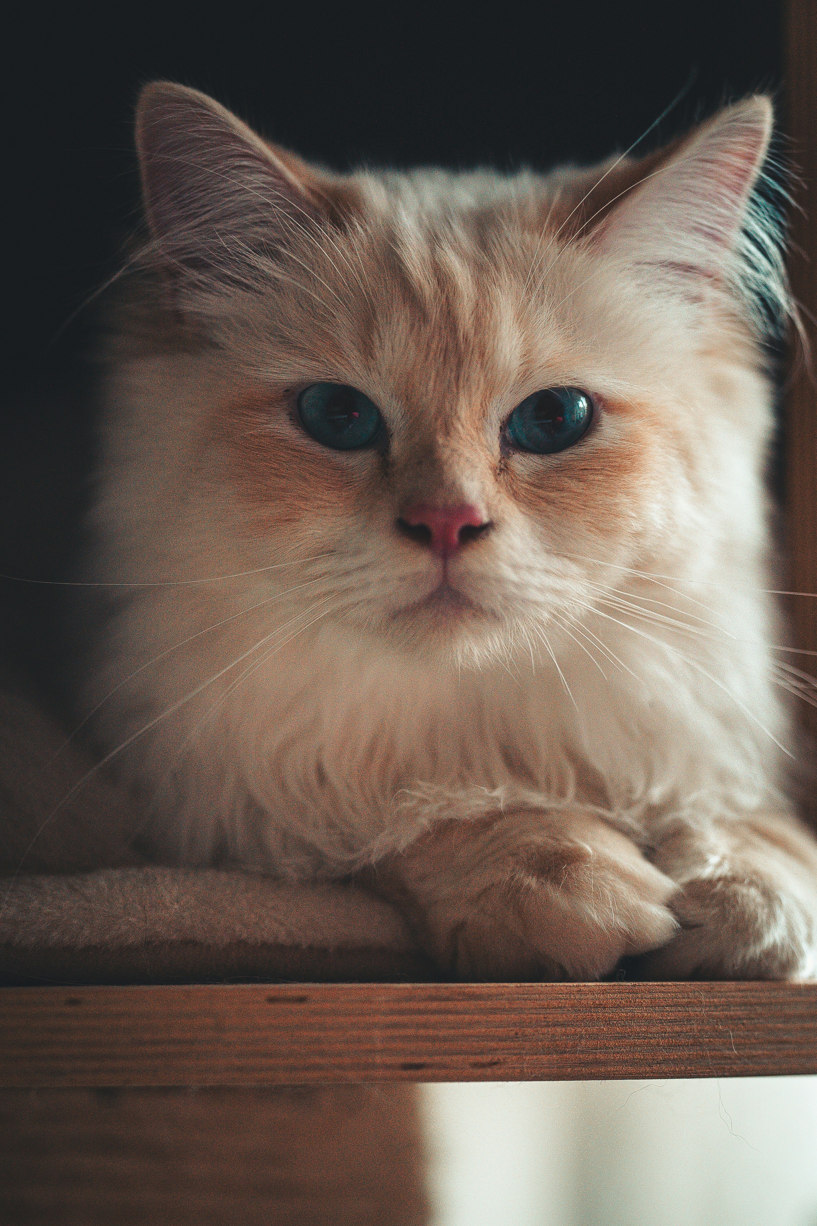 Photo by omarvellous14