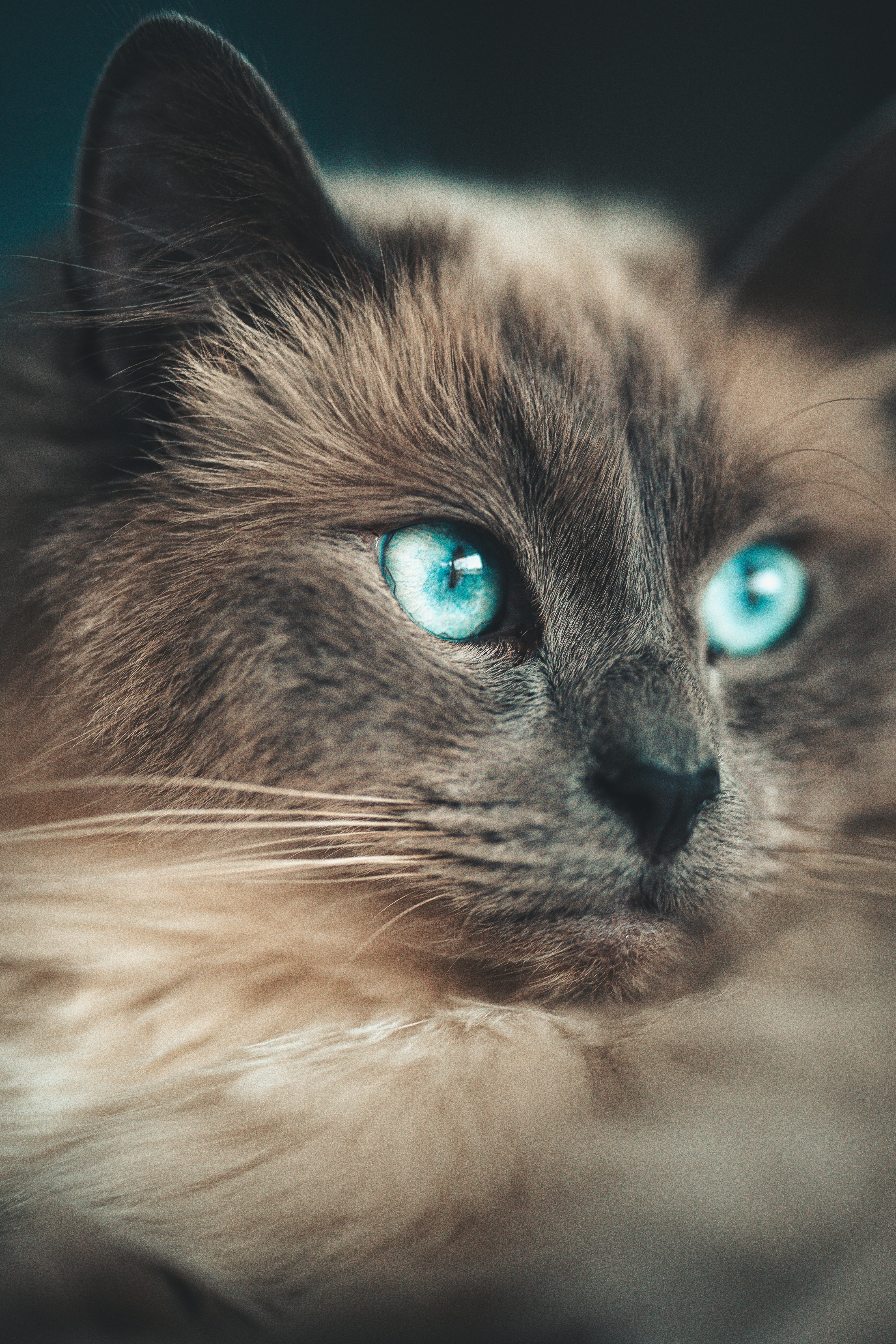 Photo by omarvellous14