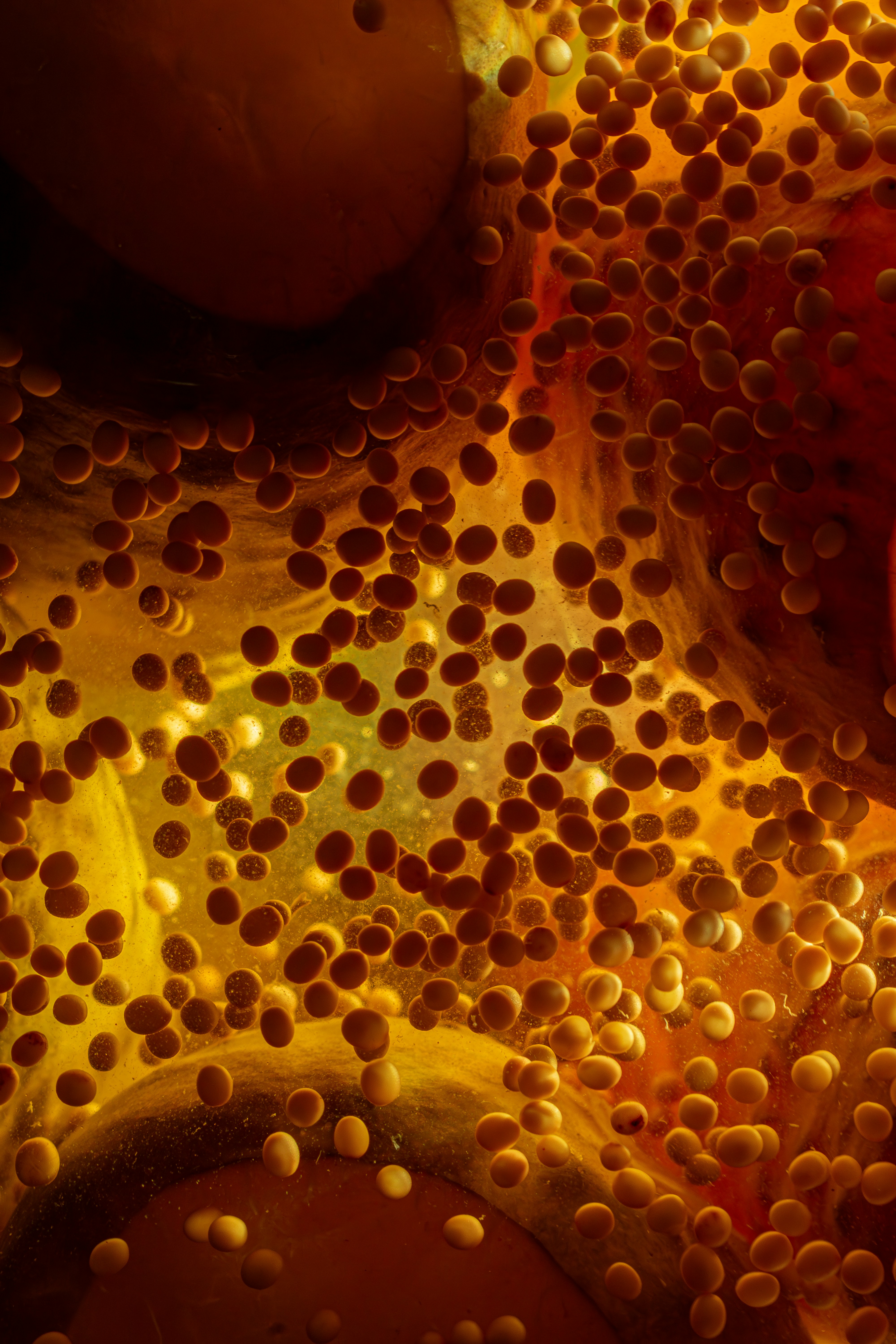 Photo by therealslkhv