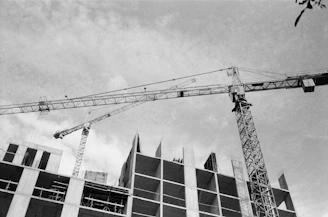 A black and white photo of a crane in front of a building