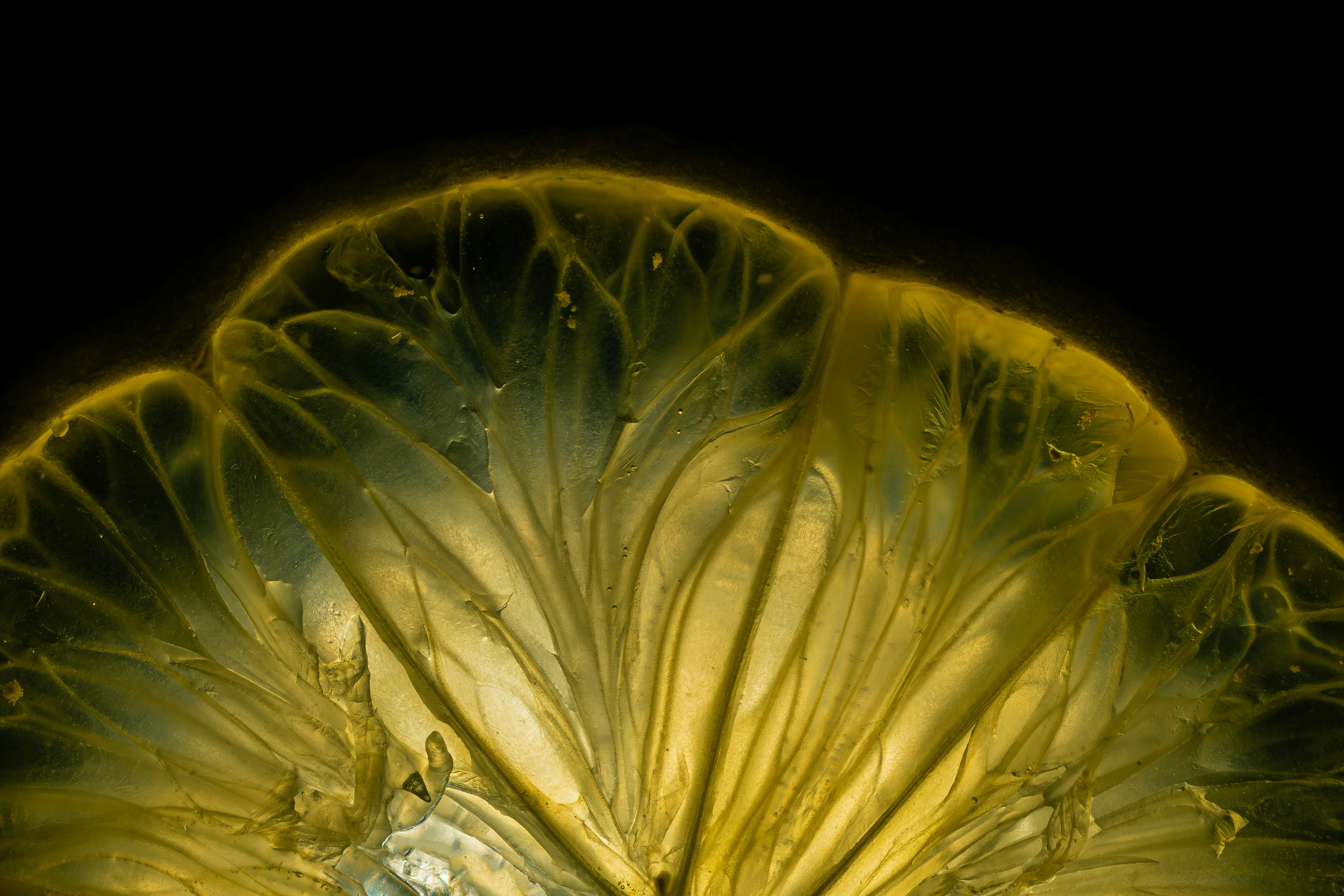 Photo by therealslkhv