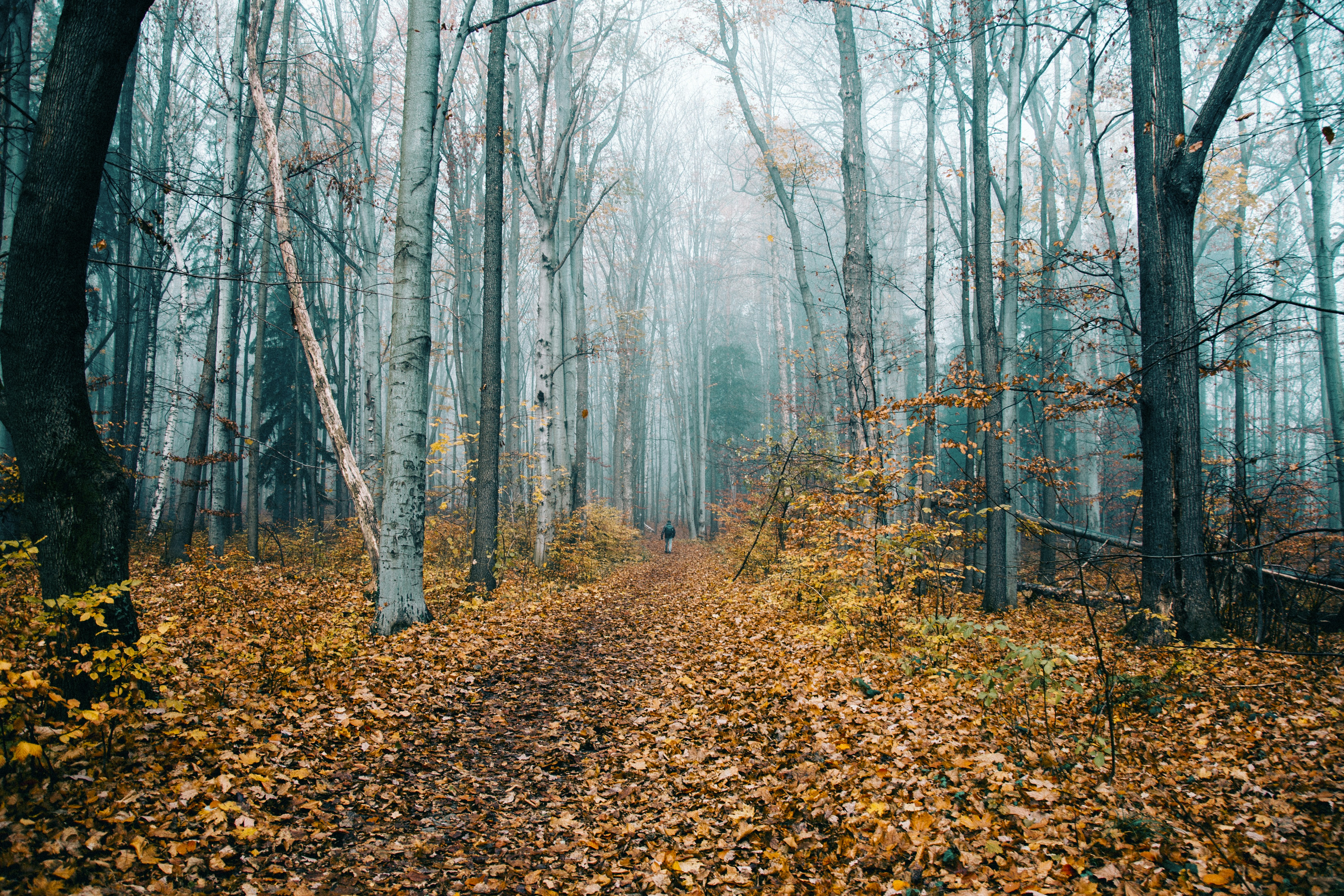 Photo by iamfrancismorgan