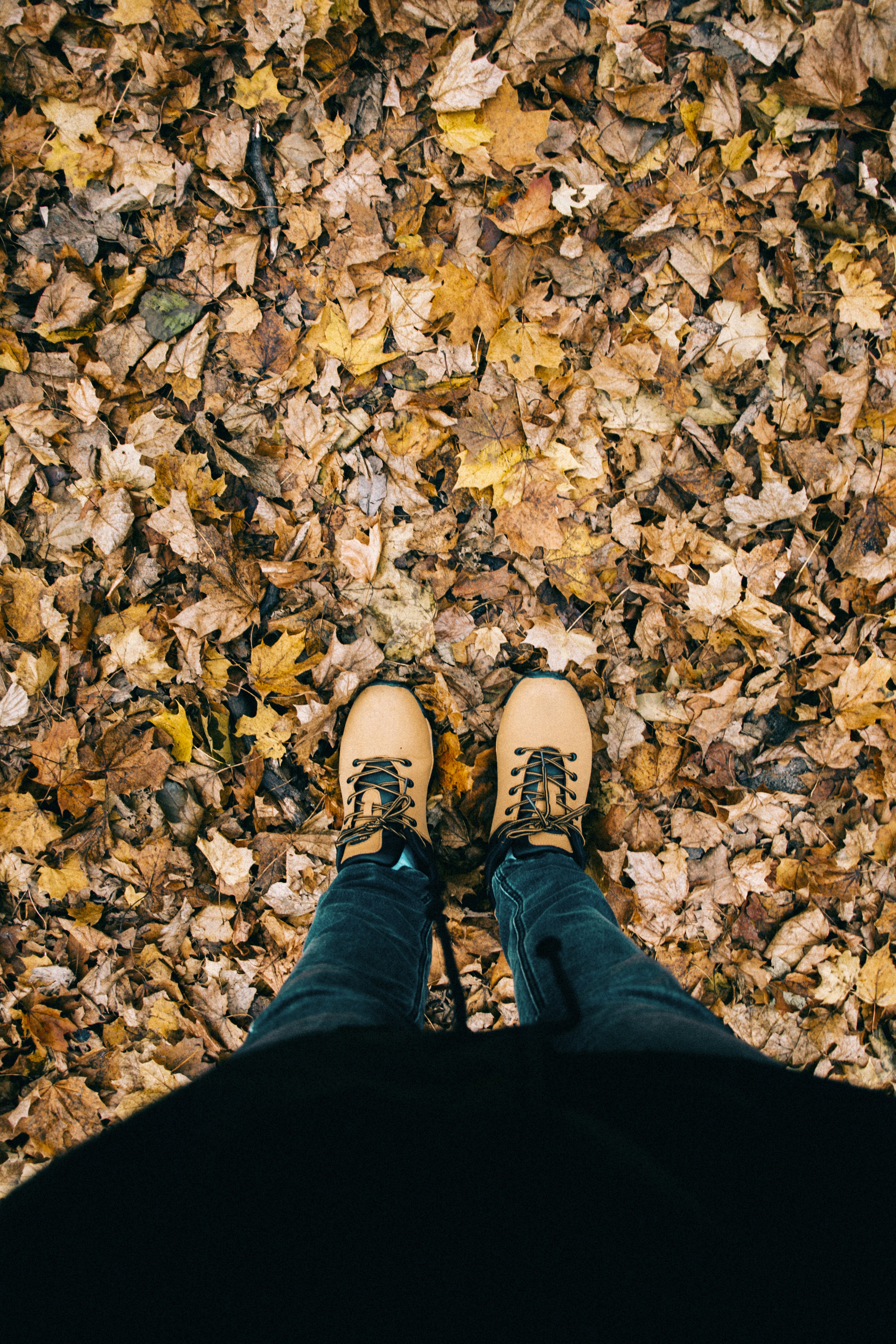 Photo by iamfrancismorgan