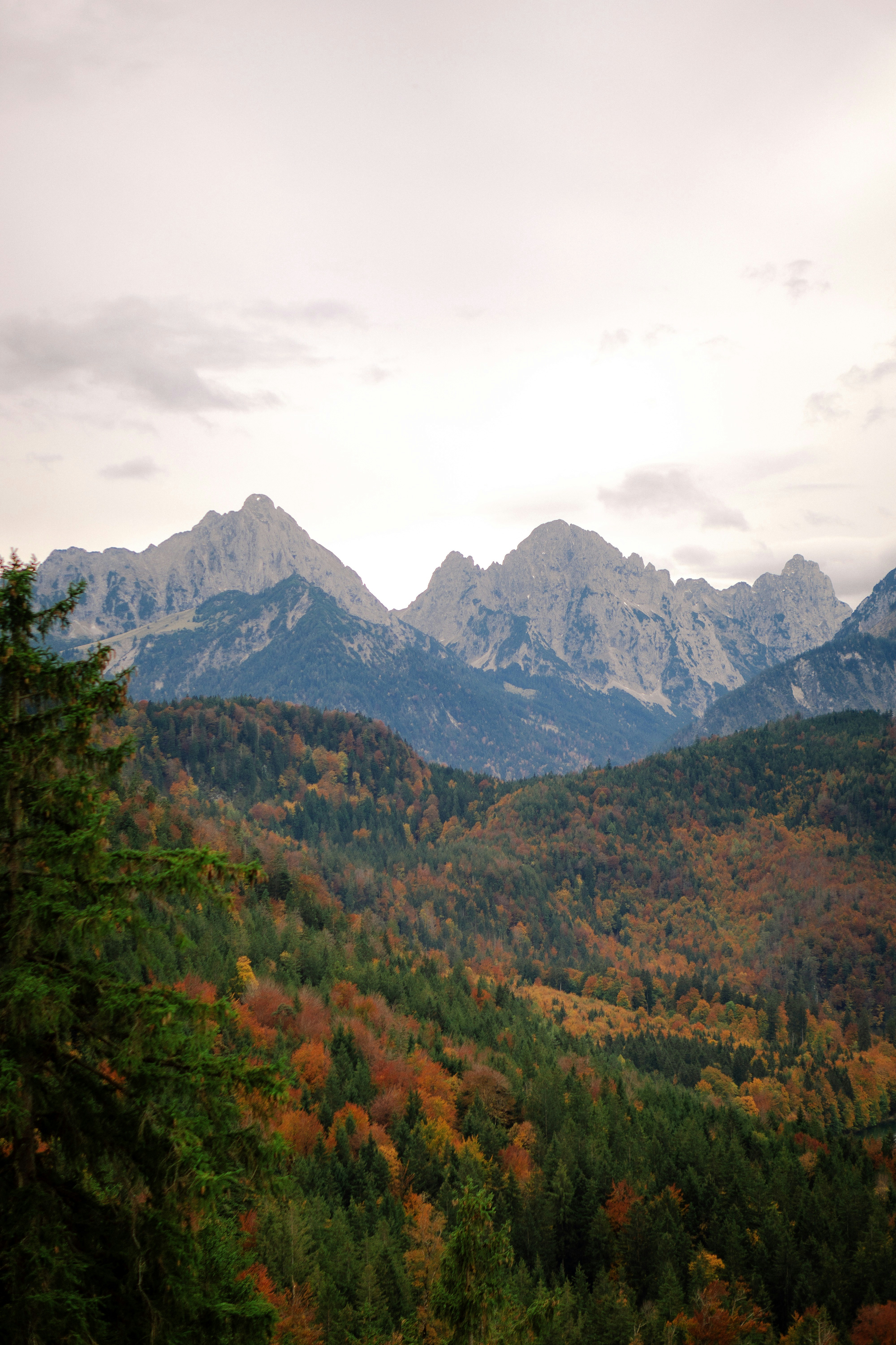 A view of a mountain range with trees and mountains in the background