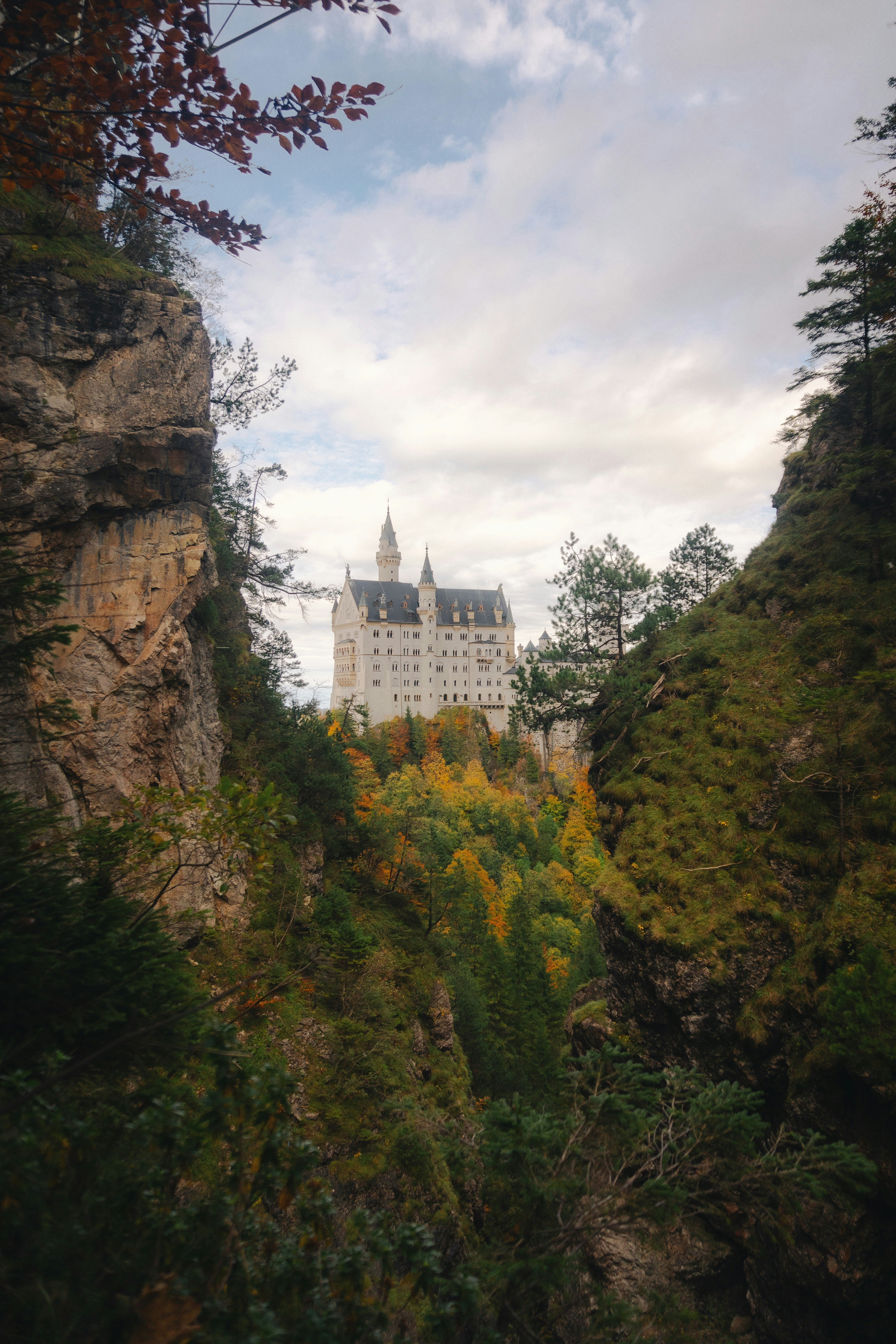 A castle on top of a cliff surrounded by trees