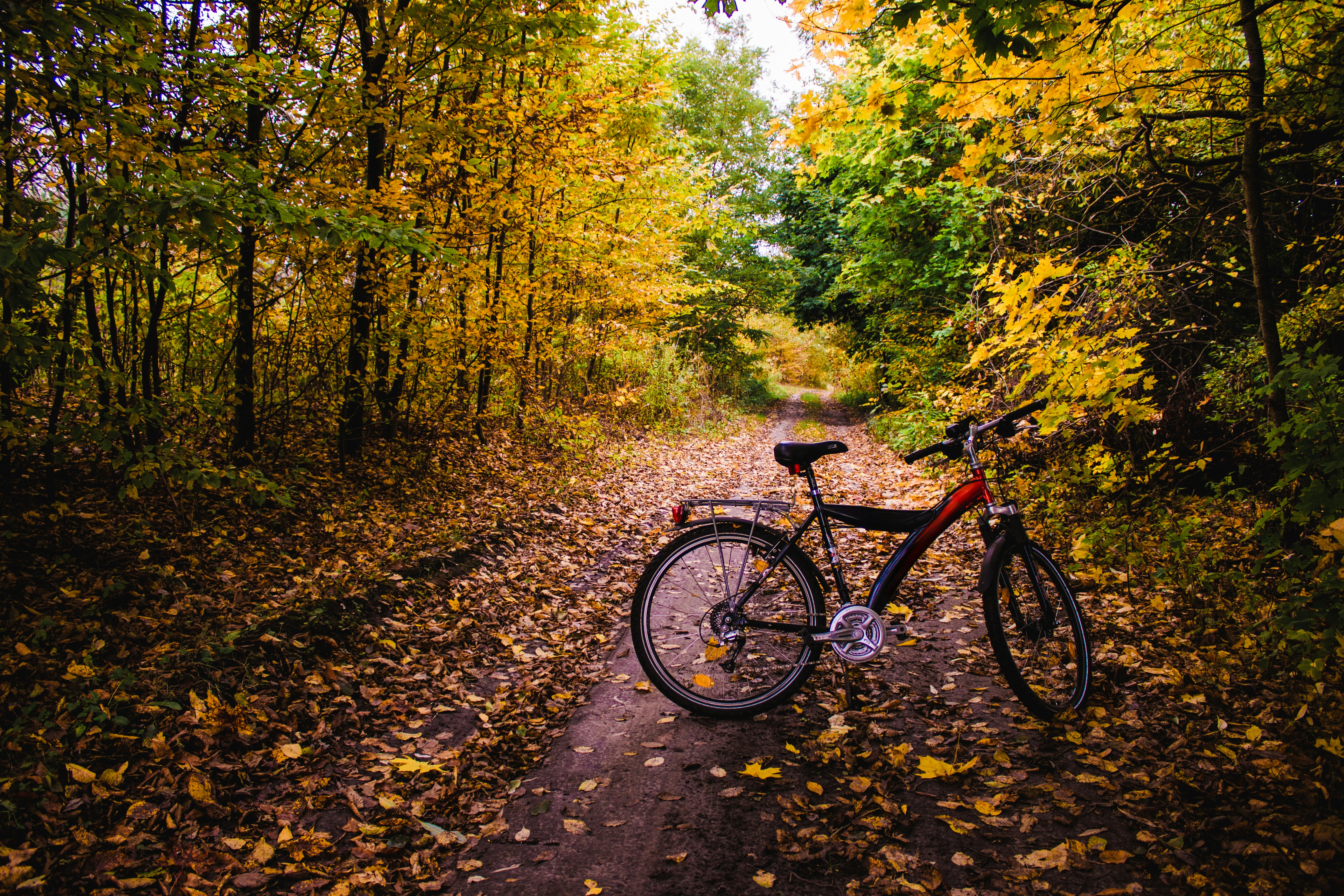 Photo by viktorsmoliak