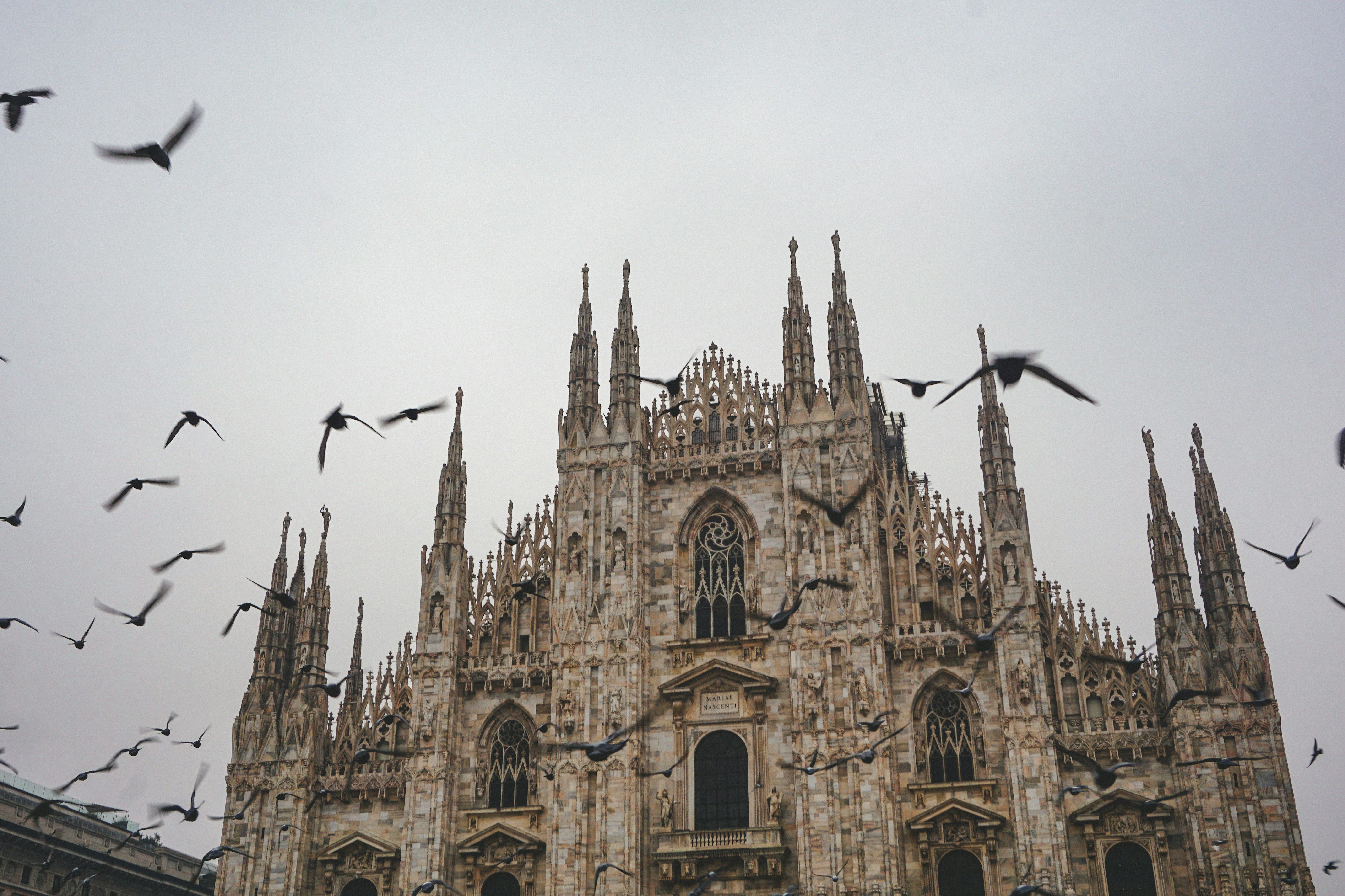 A large cathedral with many birds flying around it