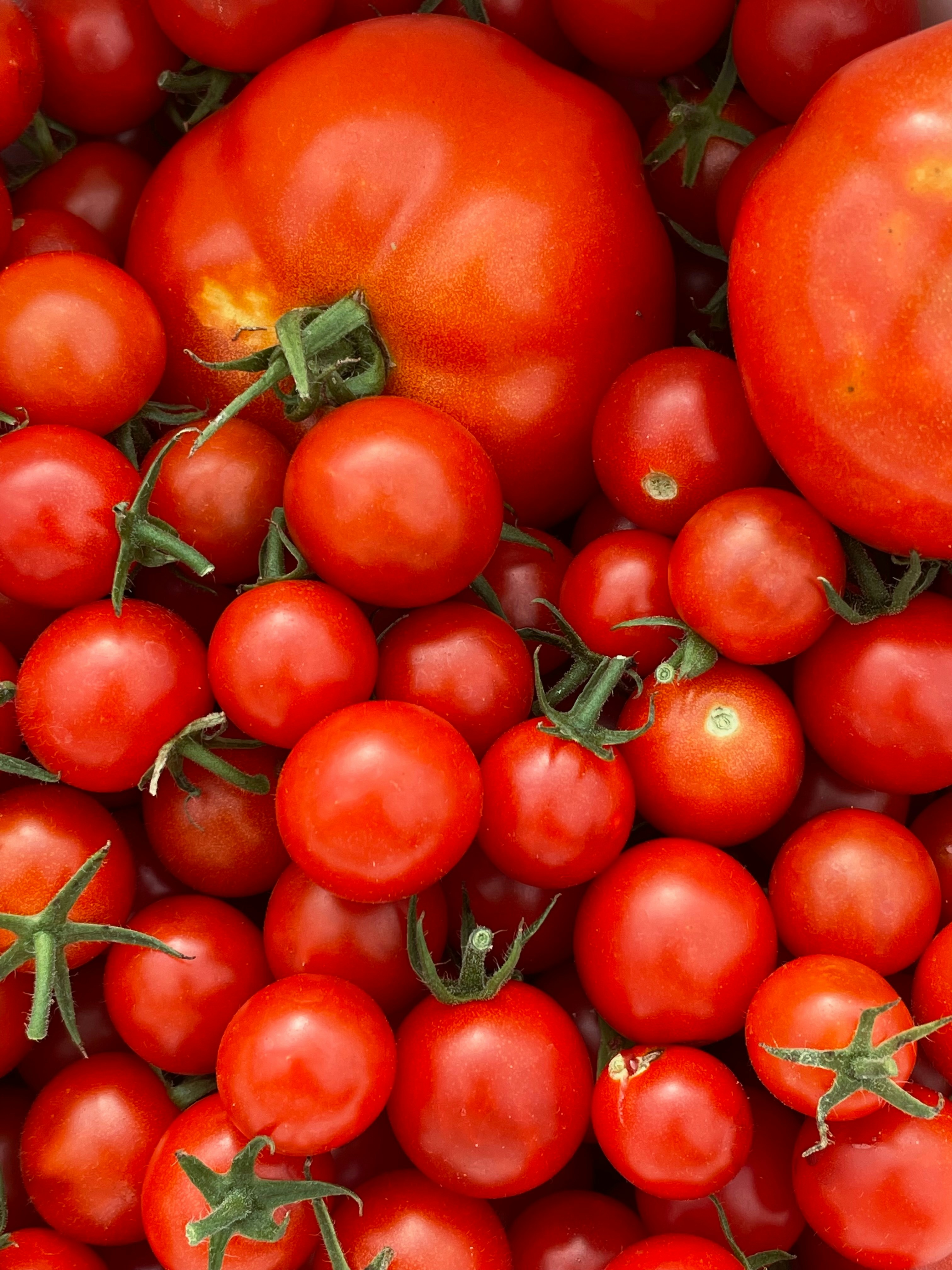 Photo by travissharp