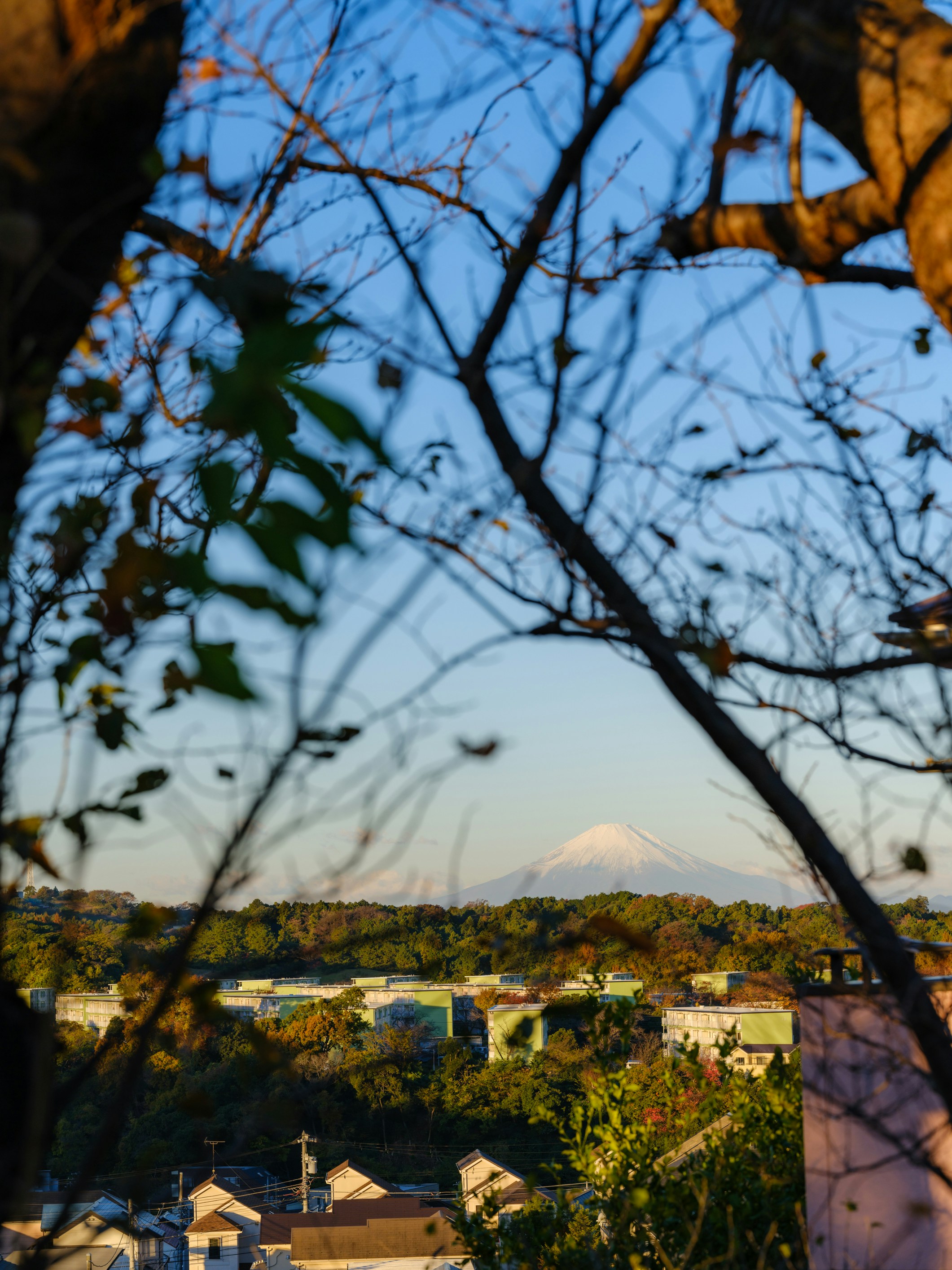Photo by nichiyoshi