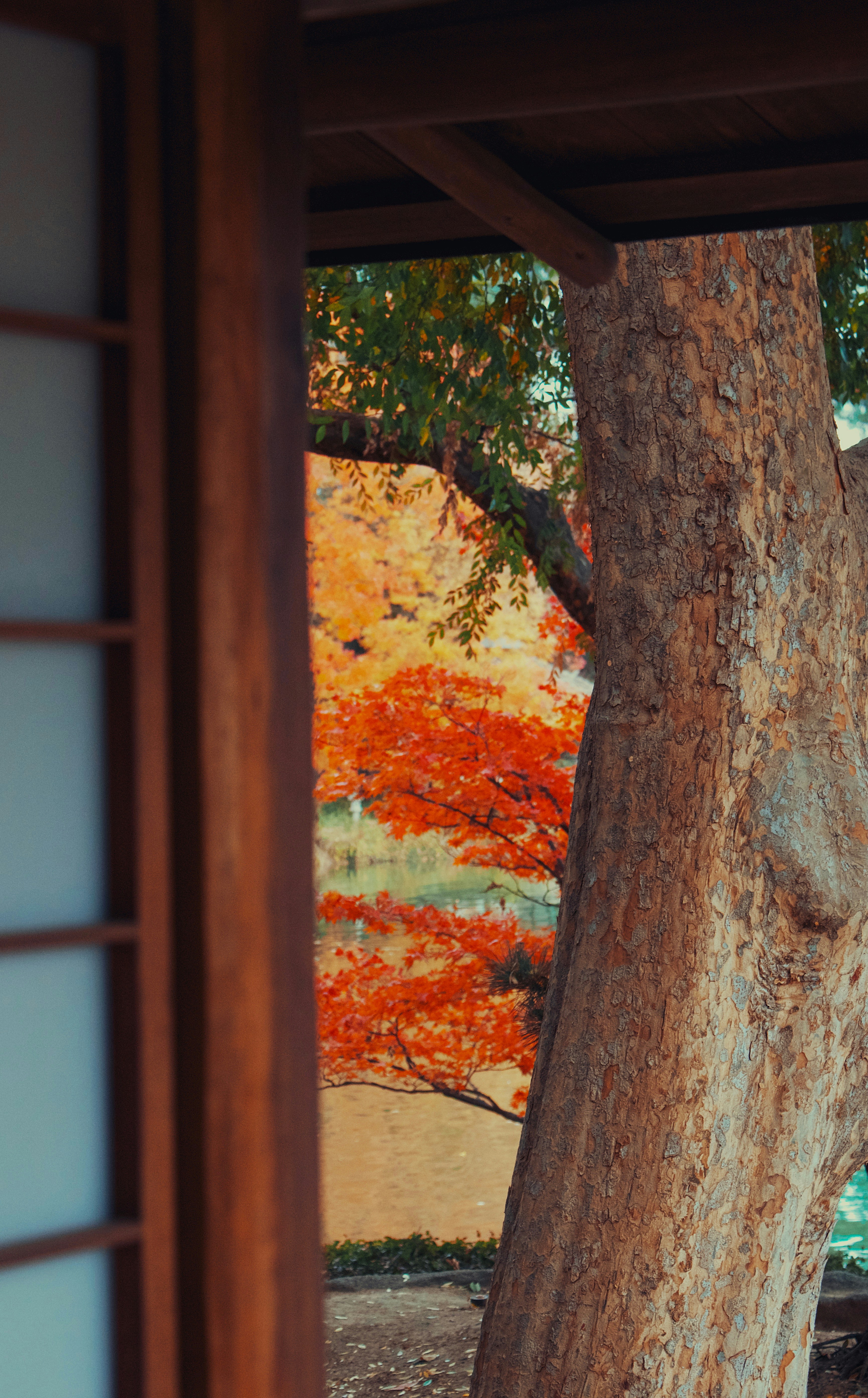 Photo by picsbyjameslee