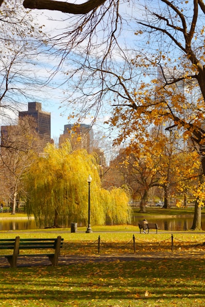 Boston Public Garden
