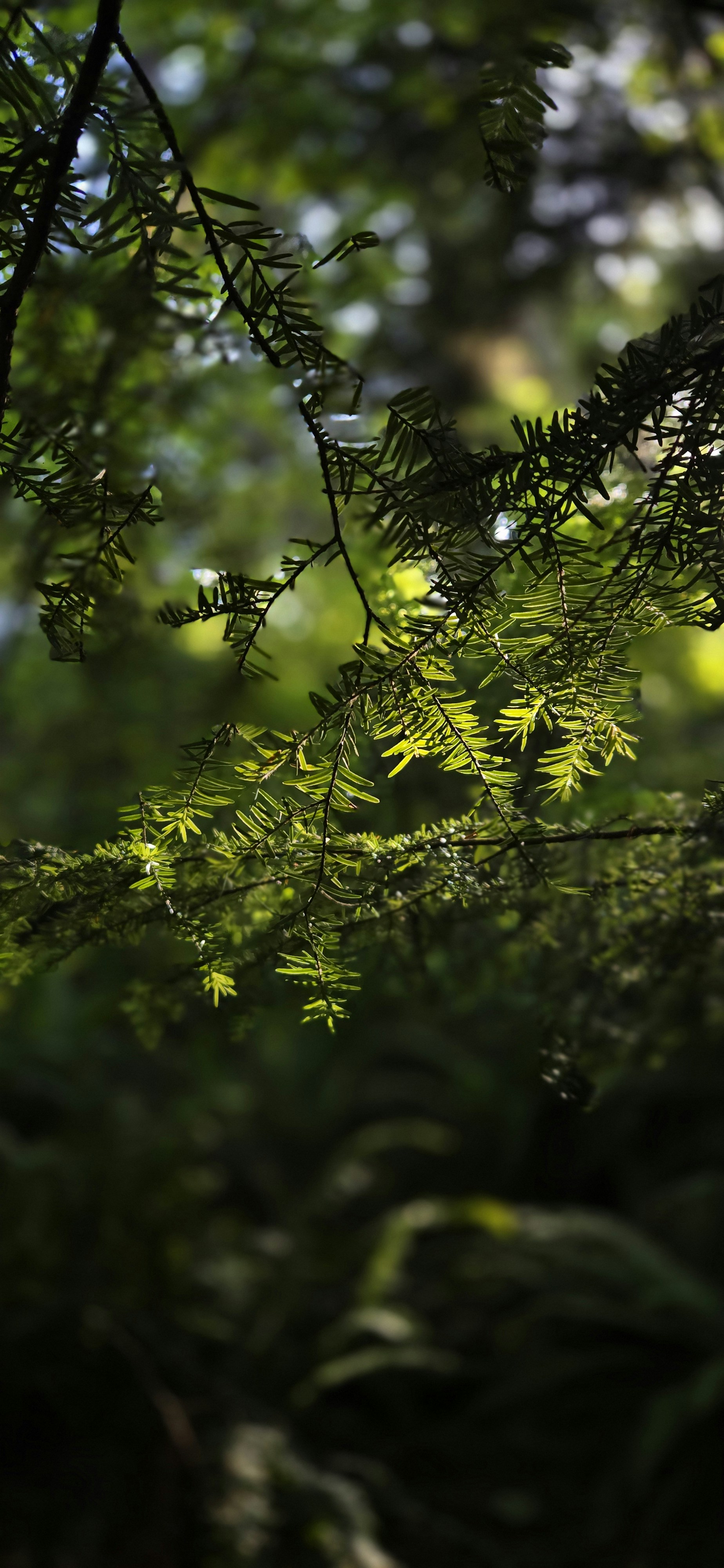 Photo by seaofthesaints