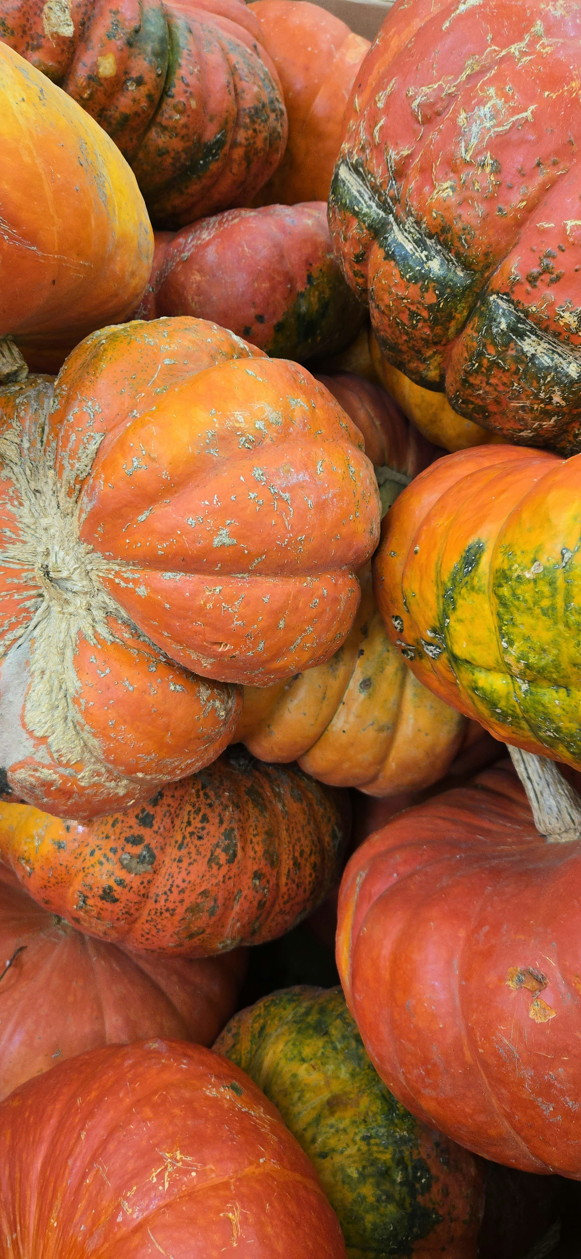 Photo by seaofthesaints